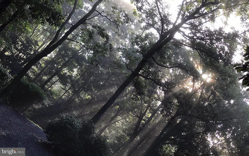 4562 QUAIL RUN DR, MARSHALL, Virginia, 3 Bedrooms Bedrooms, ,2 BathroomsBathrooms,Residential,4562 QUAIL RUN DR,VAFQ2020758 MLS # VAFQ2020758 4562 QUAIL RUN DR, MARSHALL, Virginia, 3 Bedrooms Bedrooms, ,2 BathroomsBathrooms,Residential,4562 QUAIL RUN DR,VAFQ2020758 MLS # VAFQ2020758