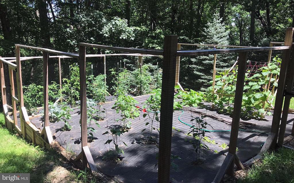 4562 QUAIL RUN DR, MARSHALL, Virginia, 3 Bedrooms Bedrooms, ,2 BathroomsBathrooms,Residential,4562 QUAIL RUN DR,VAFQ2020758 MLS # VAFQ2020758 4562 QUAIL RUN DR, MARSHALL, Virginia, 3 Bedrooms Bedrooms, ,2 BathroomsBathrooms,Residential,4562 QUAIL RUN DR,VAFQ2020758 MLS # VAFQ2020758