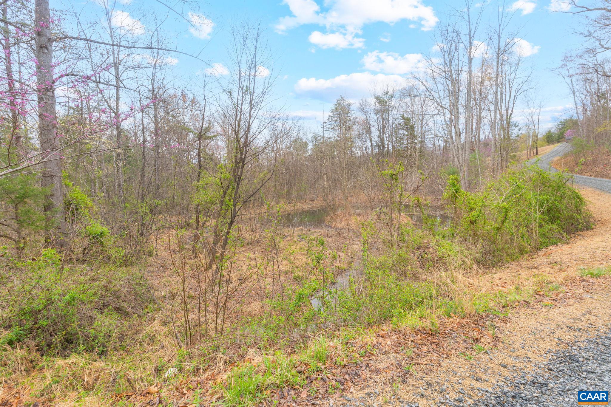 00 HIDEAWAY RDG, STANARDSVILLE, Virginia 22973, ,Land,00 HIDEAWAY RDG,675312 MLS # 675312