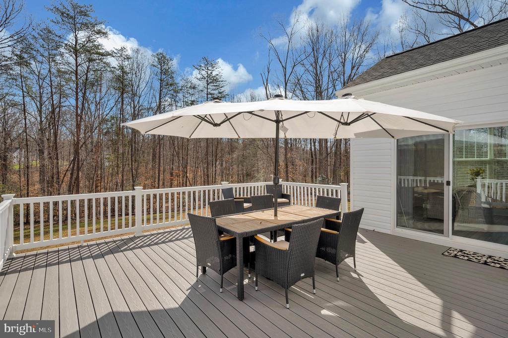 5509 BAZZANELLA DR, MINERAL, Virginia 23117, 4 Bedrooms Bedrooms, ,2 BathroomsBathrooms,Residential,5509 BAZZANELLA DR,VASP2040052 MLS # VASP2040052