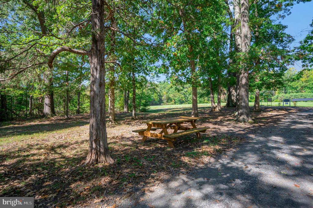 5509 BAZZANELLA DR, MINERAL, Virginia 23117, 4 Bedrooms Bedrooms, ,2 BathroomsBathrooms,Residential,5509 BAZZANELLA DR,VASP2040052 MLS # VASP2040052