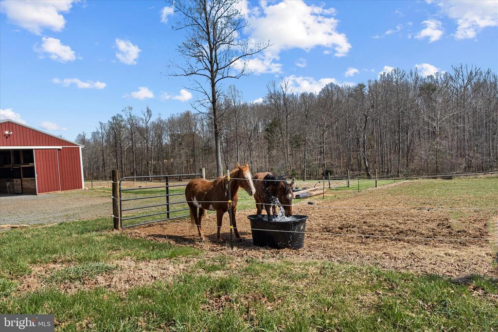 9107 GRASTY GOLD MINE RD, RHOADESVILLE, Virginia 22542, 4 Bedrooms Bedrooms, ,3 BathroomsBathrooms,Residential,9107 GRASTY GOLD MINE RD,VAOR2013664 MLS # VAOR2013664 9107 GRASTY GOLD MINE RD, RHOADESVILLE, Virginia 22542, 4 Bedrooms Bedrooms, ,3 BathroomsBathrooms,Residential,9107 GRASTY GOLD MINE RD,VAOR2013664 MLS # VAOR2013664