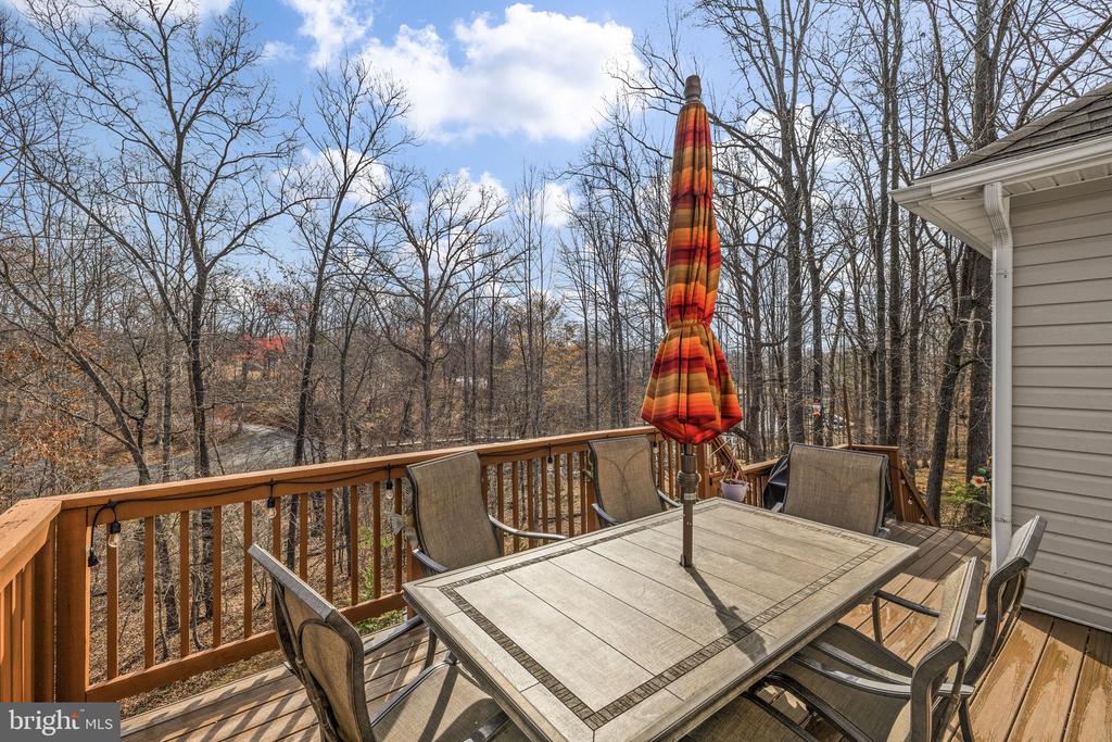 15501 WYND CT, MINERAL, Virginia 23117, 4 Bedrooms Bedrooms, ,3 BathroomsBathrooms,Residential,15501 WYND CT,VASP2040300 MLS # VASP2040300