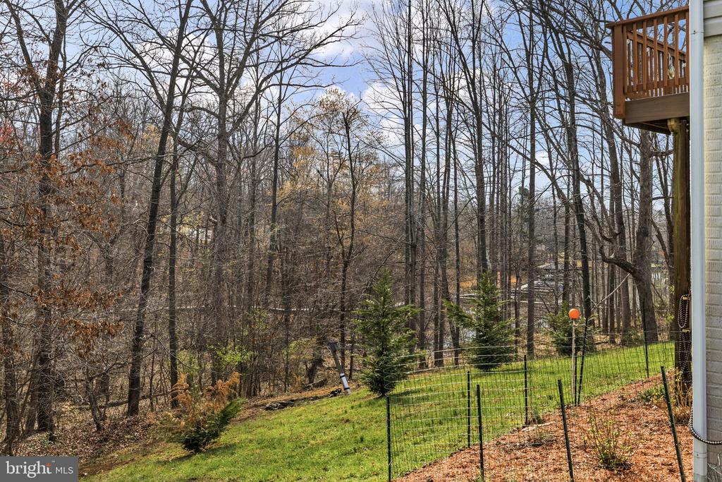 15501 WYND CT, MINERAL, Virginia 23117, 4 Bedrooms Bedrooms, ,3 BathroomsBathrooms,Residential,15501 WYND CT,VASP2040300 MLS # VASP2040300