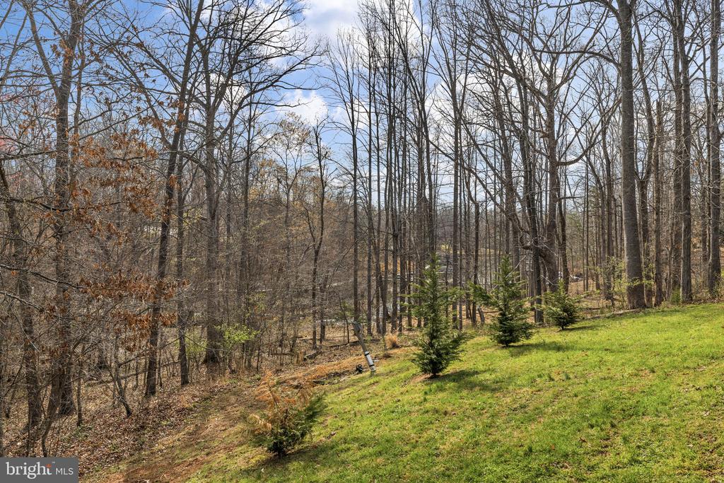 15501 WYND CT, MINERAL, Virginia 23117, 4 Bedrooms Bedrooms, ,3 BathroomsBathrooms,Residential,15501 WYND CT,VASP2040300 MLS # VASP2040300