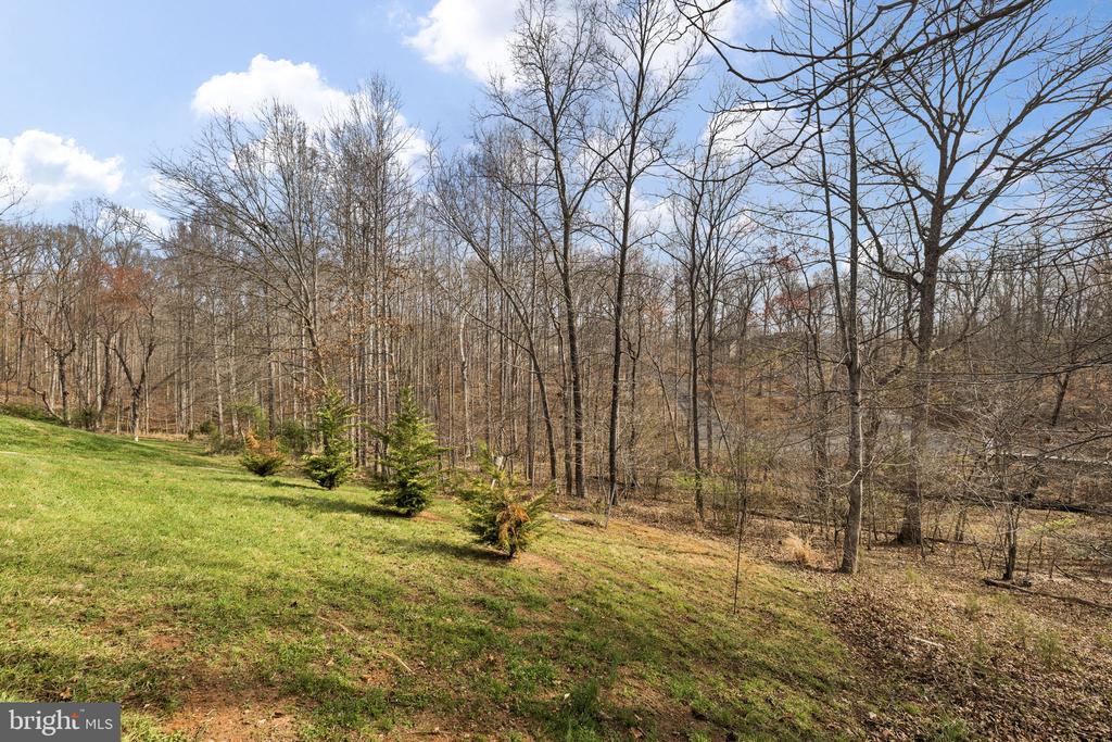 15501 WYND CT, MINERAL, Virginia 23117, 4 Bedrooms Bedrooms, ,3 BathroomsBathrooms,Residential,15501 WYND CT,VASP2040300 MLS # VASP2040300