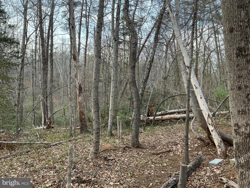 2203 CAMPBELL RD, KESWICK, Virginia 22947, 4 Bedrooms Bedrooms, ,3 BathroomsBathrooms,Residential,2203 CAMPBELL RD,VALA2009476 MLS # VALA2009476