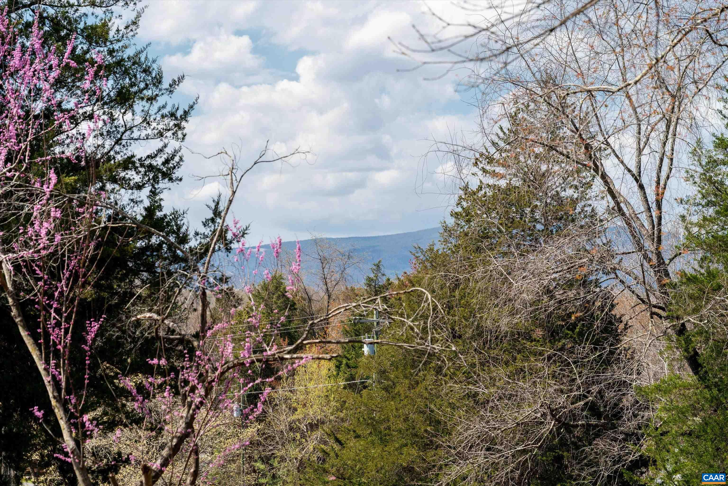 5343 AMICUS RD, RUCKERSVILLE, Virginia 22968, 5 Bedrooms Bedrooms, ,2 BathroomsBathrooms,Residential,Amicus Road,5343 AMICUS RD,675033 MLS # 675033