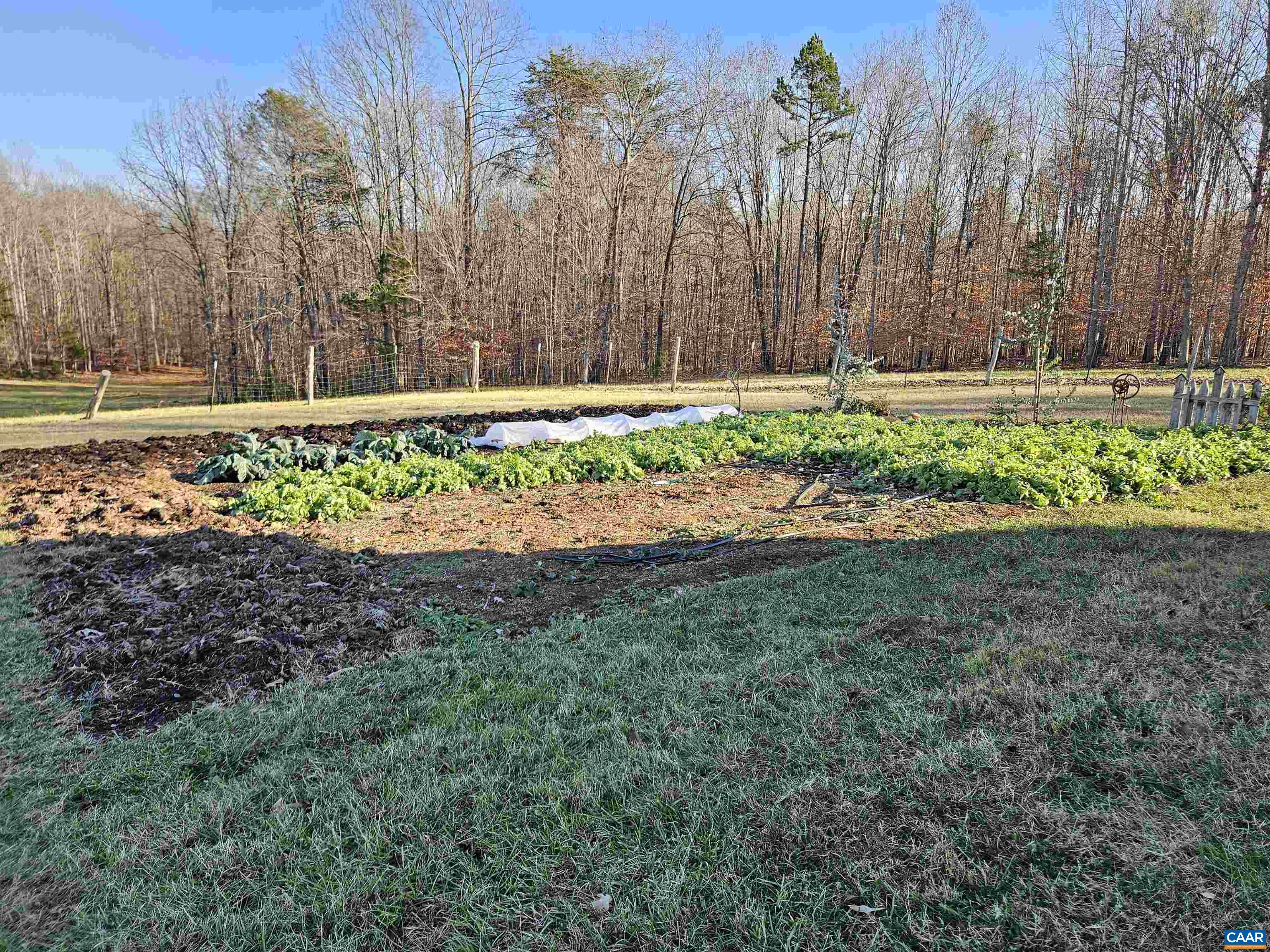 3814 S CONSTITUTION RTE, DILLWYN, Virginia 23936, 3 Bedrooms Bedrooms, ,1 BathroomBathrooms,Residential,3814 S CONSTITUTION RTE,675302 MLS # 675302 3814 S CONSTITUTION RTE, DILLWYN, Virginia 23936, 3 Bedrooms Bedrooms, ,1 BathroomBathrooms,Residential,3814 S CONSTITUTION RTE,675302 MLS # 675302