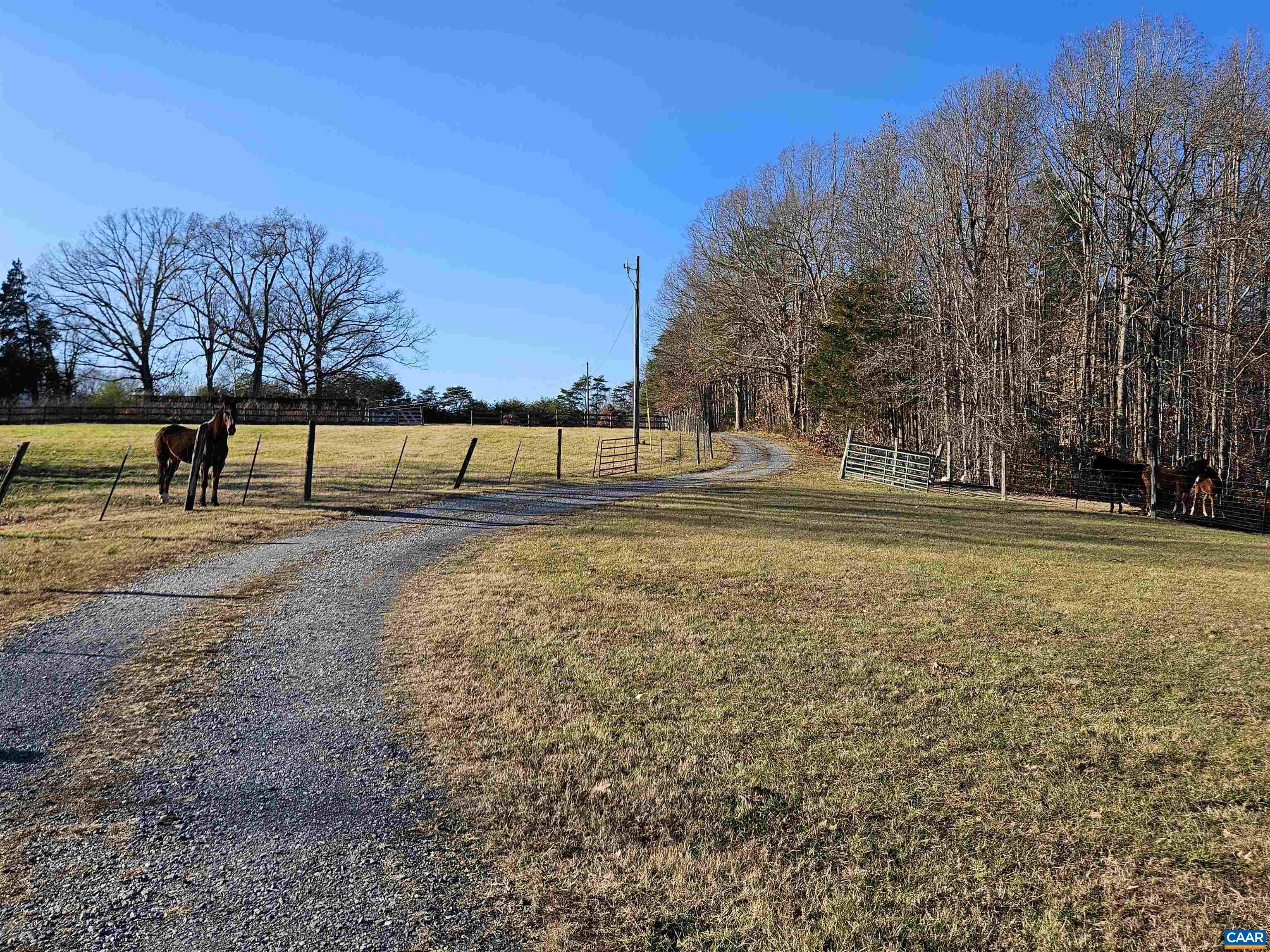 3814 S CONSTITUTION RTE, DILLWYN, Virginia 23936, 3 Bedrooms Bedrooms, ,1 BathroomBathrooms,Residential,3814 S CONSTITUTION RTE,675302 MLS # 675302 3814 S CONSTITUTION RTE, DILLWYN, Virginia 23936, 3 Bedrooms Bedrooms, ,1 BathroomBathrooms,Residential,3814 S CONSTITUTION RTE,675302 MLS # 675302