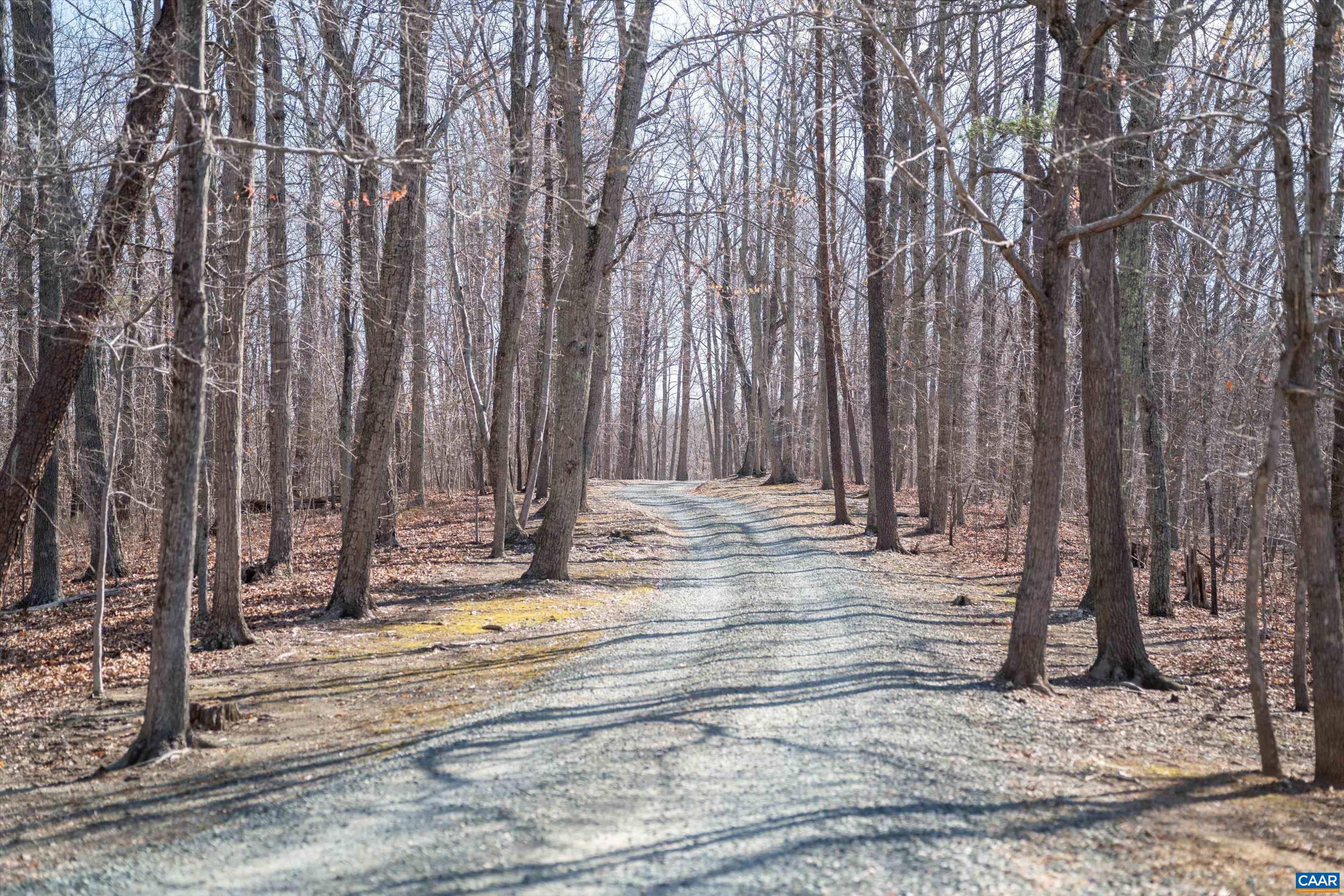 4444 WOODS EDGE RD, CHARLOTTESVILLE, Virginia 22974, 5 Bedrooms Bedrooms, ,4 BathroomsBathrooms,Residential,4444 WOODS EDGE RD,675315 MLS # 675315
