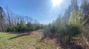 000 ALDRIDGE LN, SCOTTSVILLE, Virginia 24590, ,Farm,000 ALDRIDGE LN,675317 MLS # 675317