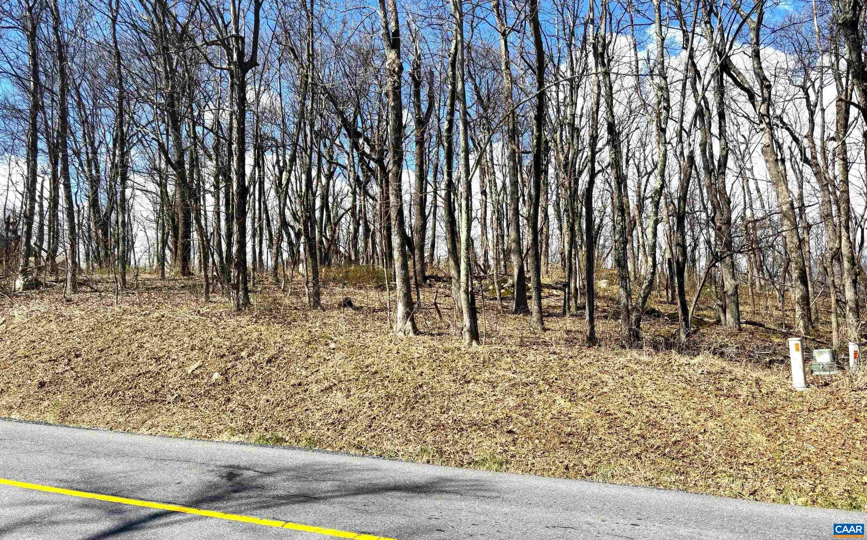 433 LAUREL SPRINGS DR, WINTERGREEN RESORT, Virginia 22967, ,Land,433 LAUREL SPRINGS DR,675318 MLS # 675318