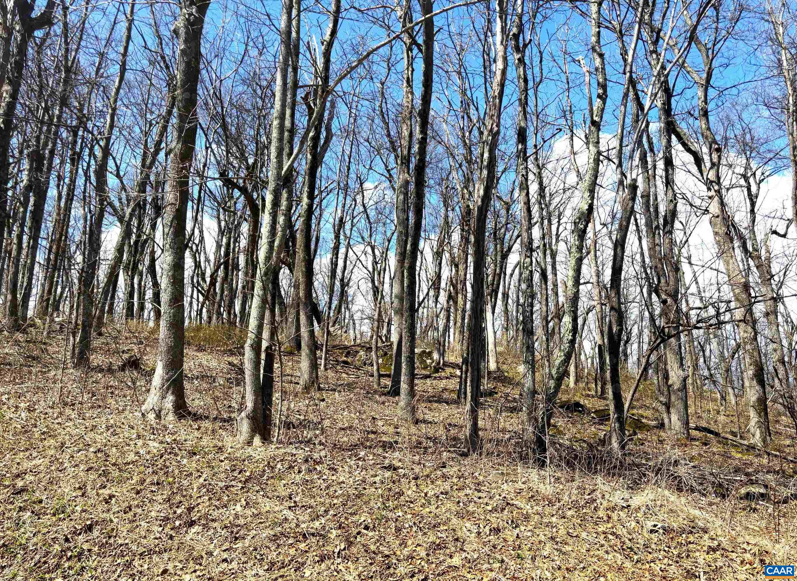 433 LAUREL SPRINGS DR, WINTERGREEN RESORT, Virginia 22967, ,Land,433 LAUREL SPRINGS DR,675318 MLS # 675318