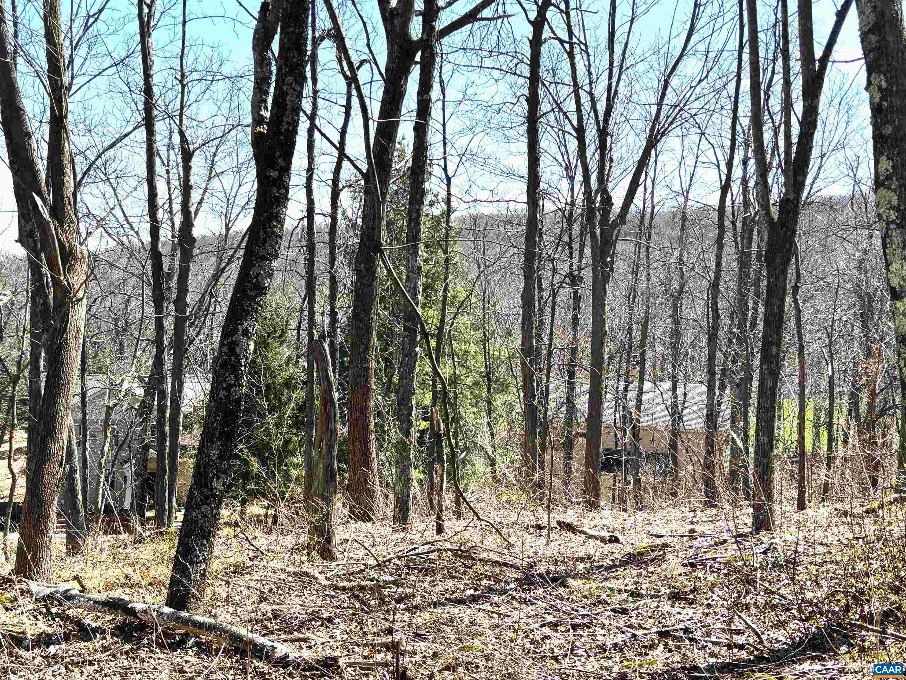 433 LAUREL SPRINGS DR, WINTERGREEN RESORT, Virginia 22967, ,Land,433 LAUREL SPRINGS DR,675318 MLS # 675318