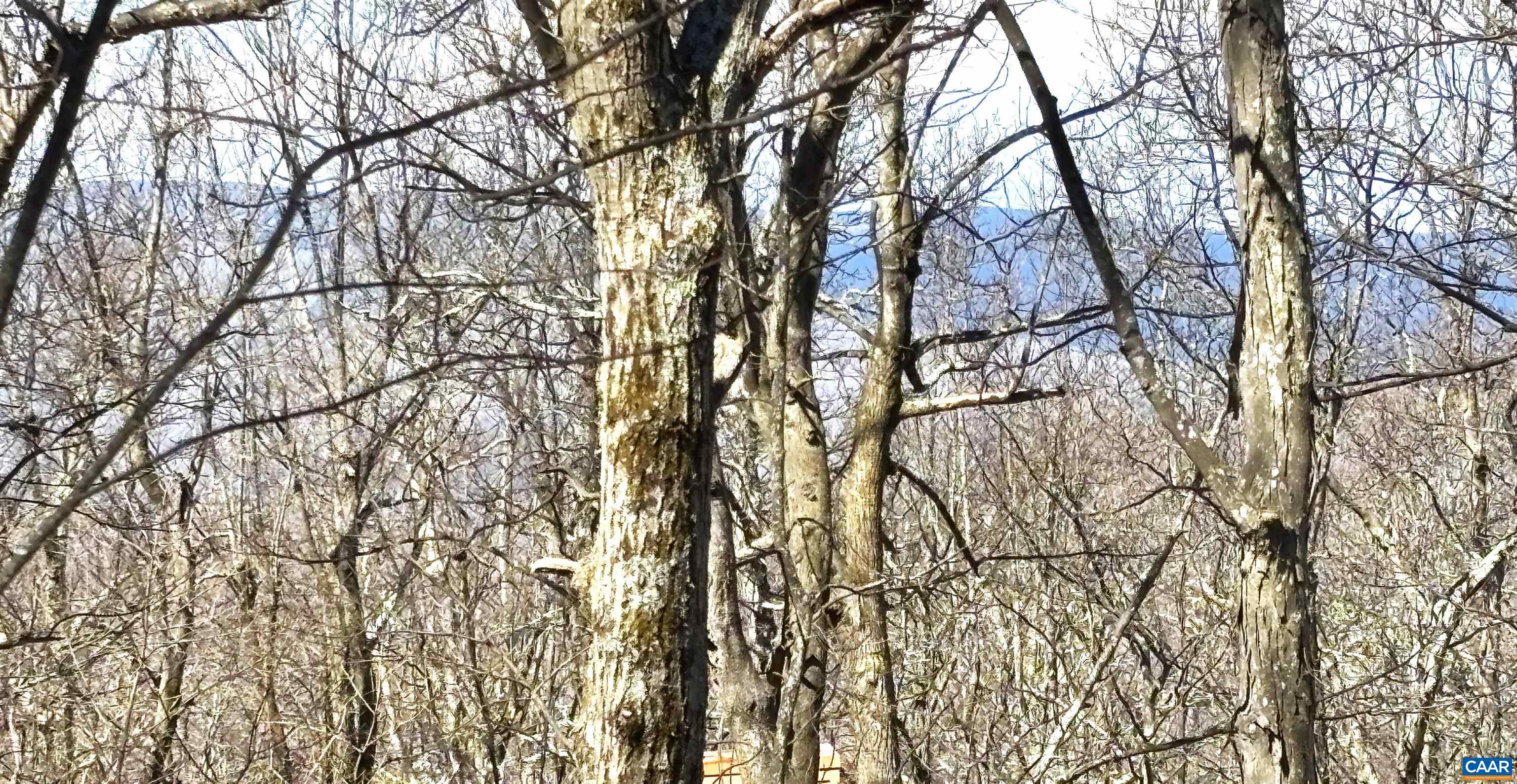 433 LAUREL SPRINGS DR, WINTERGREEN RESORT, Virginia 22967, ,Land,433 LAUREL SPRINGS DR,675318 MLS # 675318