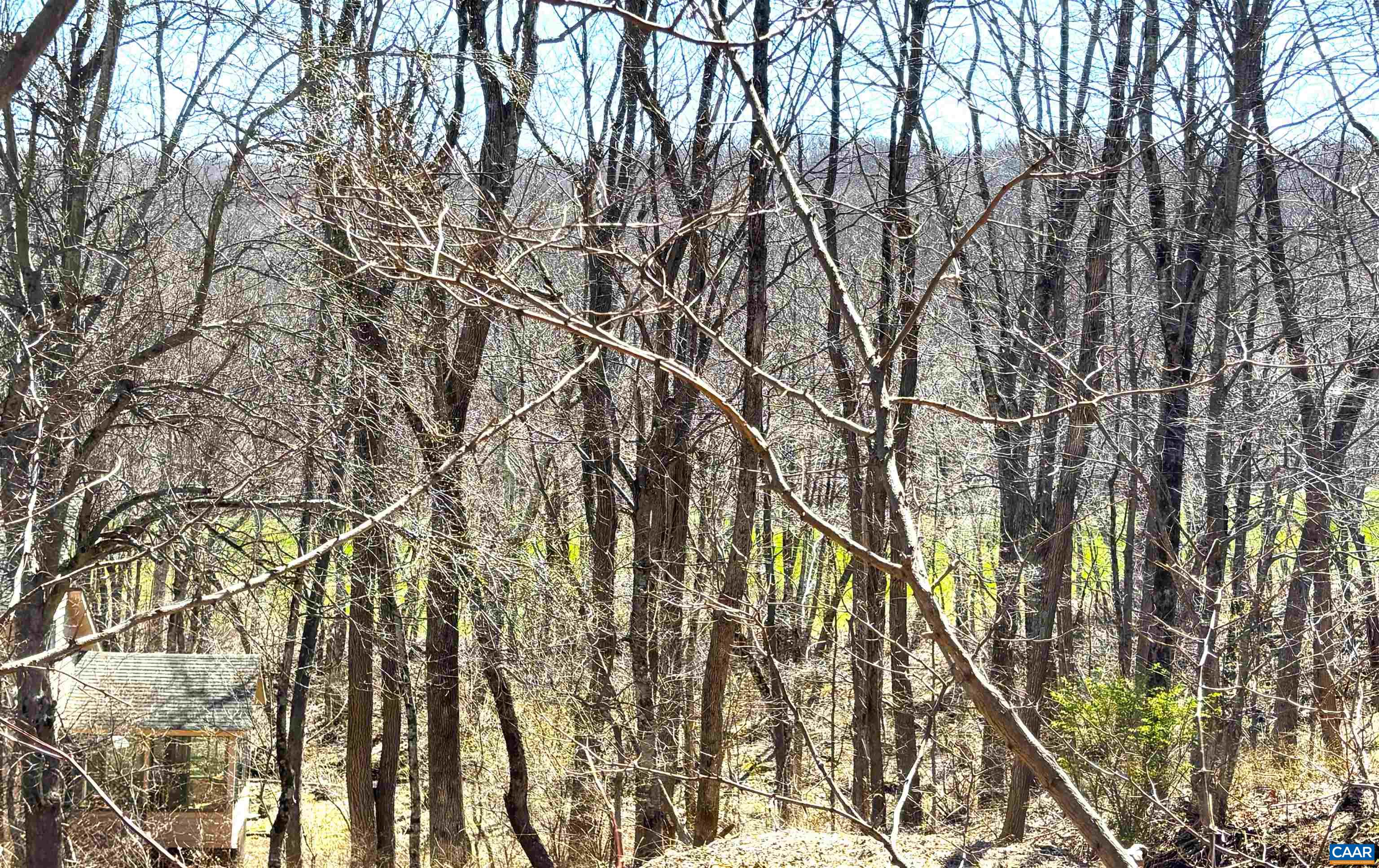 433 LAUREL SPRINGS DR, WINTERGREEN RESORT, Virginia 22967, ,Land,433 LAUREL SPRINGS DR,675318 MLS # 675318