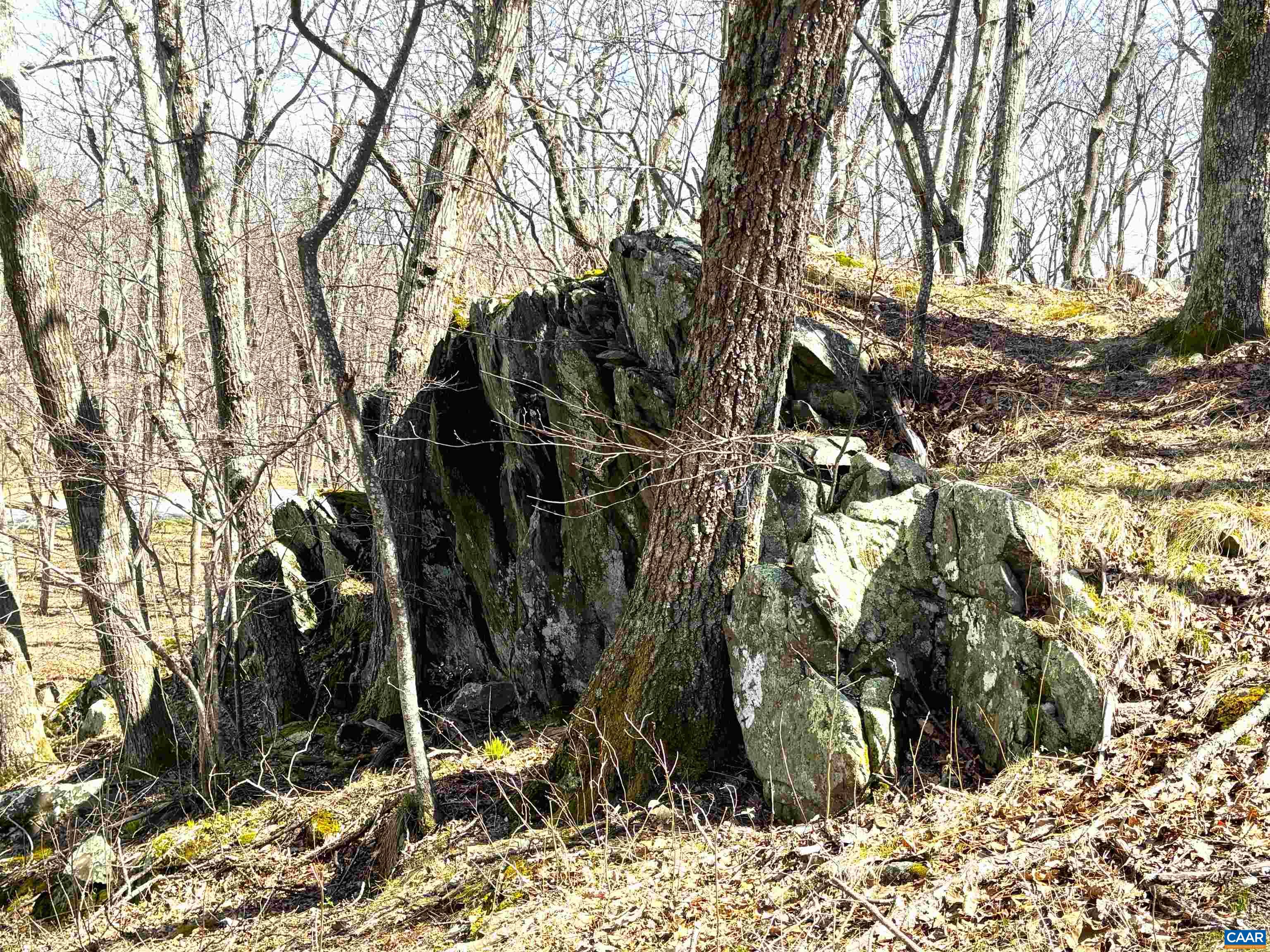 433 LAUREL SPRINGS DR, WINTERGREEN RESORT, Virginia 22967, ,Land,433 LAUREL SPRINGS DR,675318 MLS # 675318