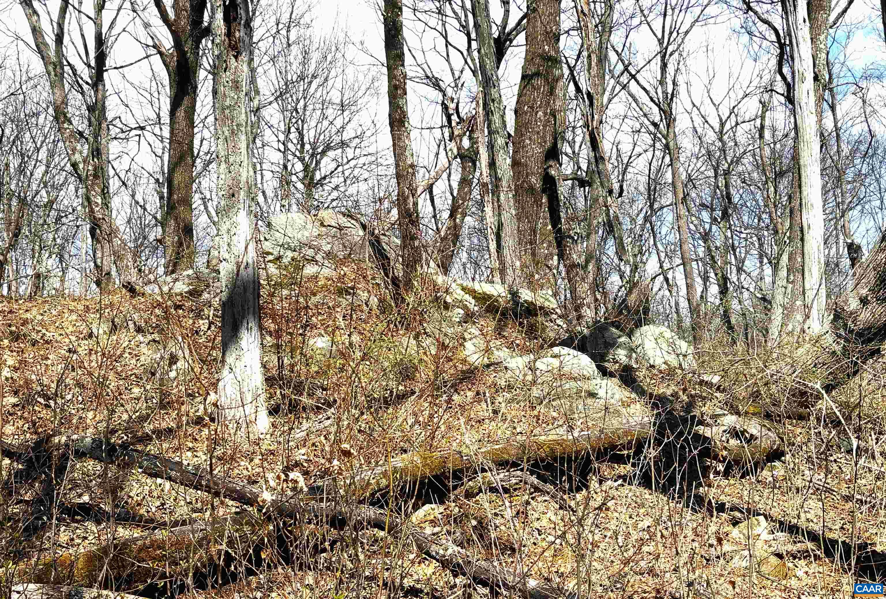 433 LAUREL SPRINGS DR, WINTERGREEN RESORT, Virginia 22967, ,Land,433 LAUREL SPRINGS DR,675318 MLS # 675318