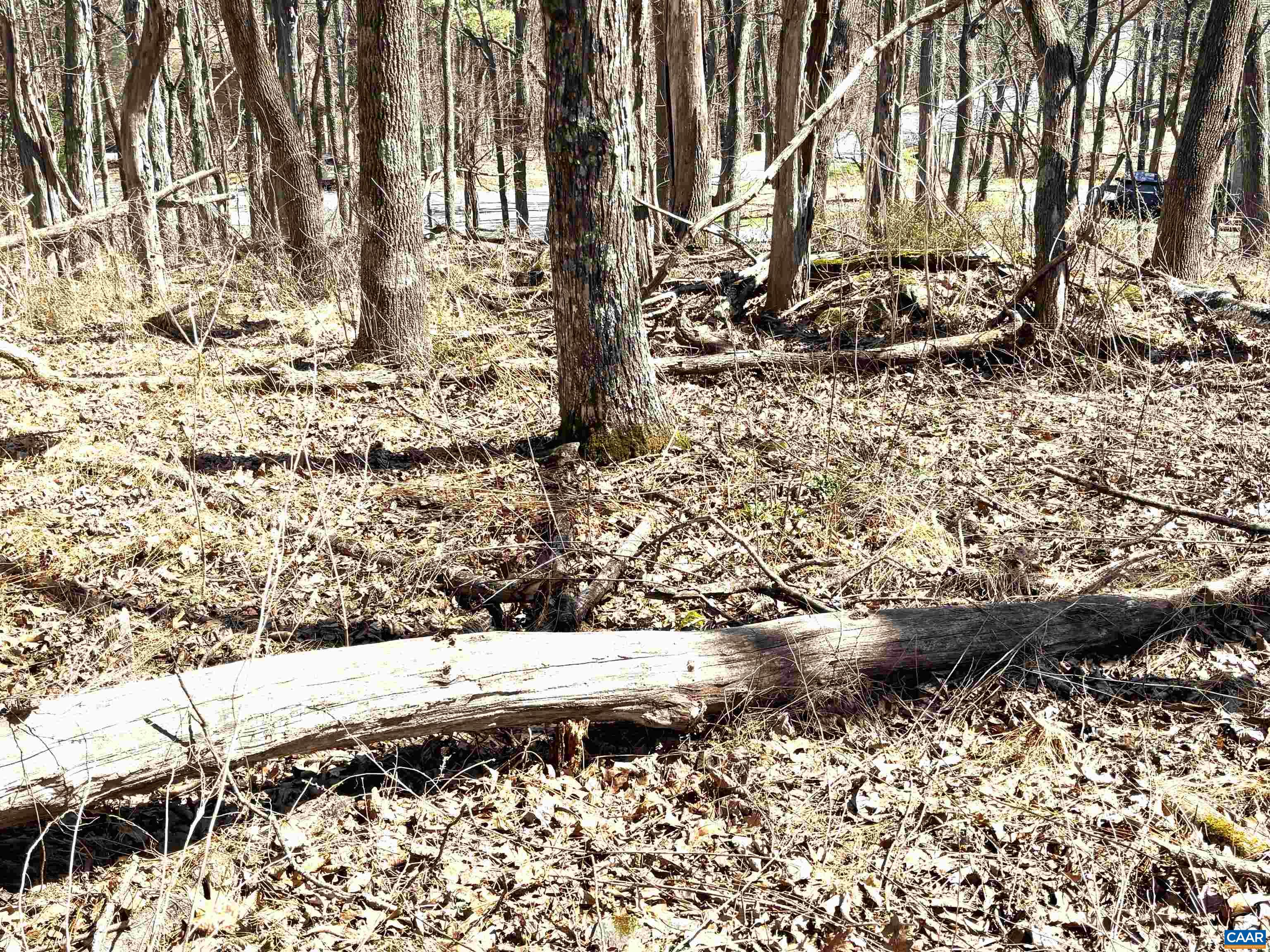 433 LAUREL SPRINGS DR, WINTERGREEN RESORT, Virginia 22967, ,Land,433 LAUREL SPRINGS DR,675318 MLS # 675318