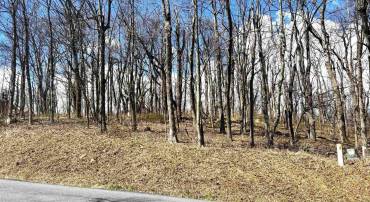 433 LAUREL SPRINGS DR, WINTERGREEN RESORT, Virginia 22967, ,Land,433 LAUREL SPRINGS DR,675318 MLS # 675318