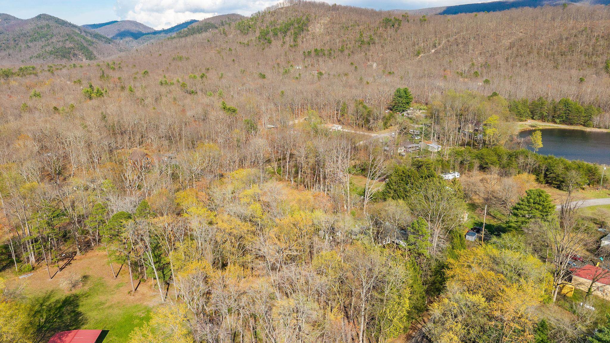 Lot 7 LAKE DR, CRIMORA, Virginia 24431, ,Land,Lot 7 LAKE DR,675322 MLS # 675322