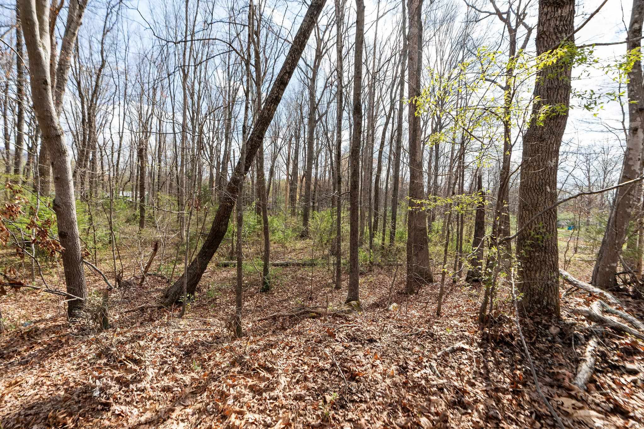 Lot 17 LAKE DR, CRIMORA, Virginia 24431, ,Land,Lot 17 LAKE DR,675324 MLS # 675324