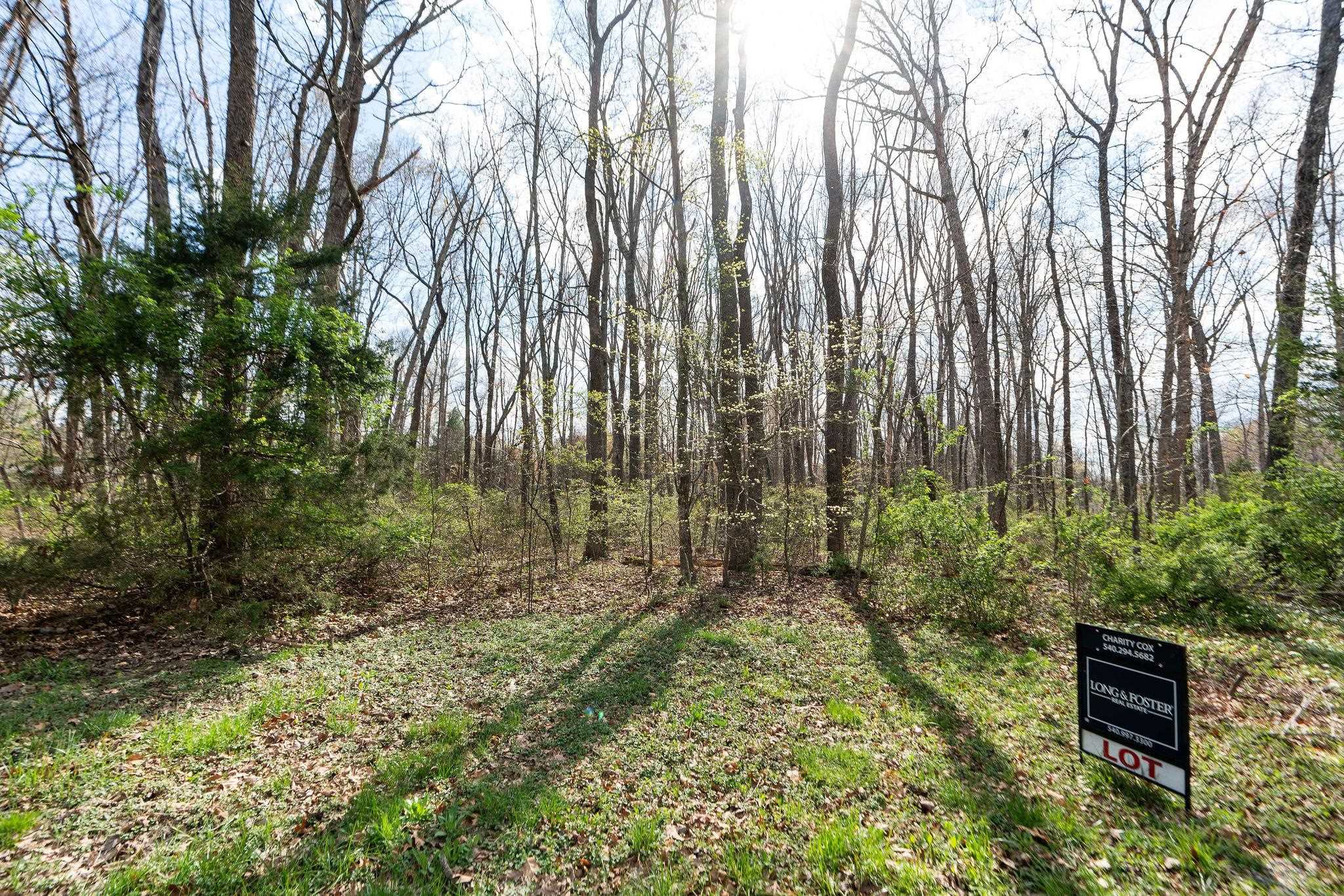 Lot 4 LAKE DR, CRIMORA, Virginia 24431, ,Land,Lot 4 LAKE DR,675325 MLS # 675325