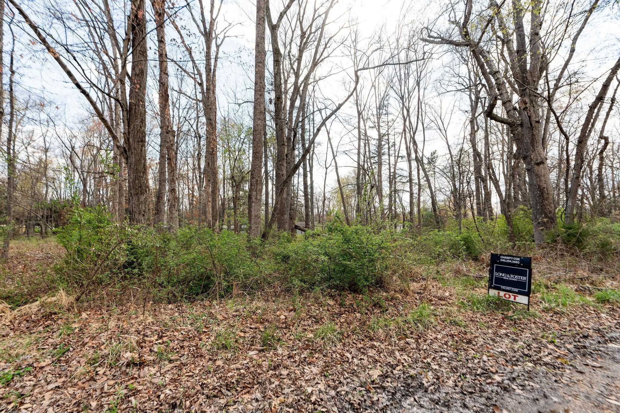 Lot 3 LAKE DR, CRIMORA, Virginia 24431, ,Land,Lot 3 LAKE DR,675327 MLS # 675327