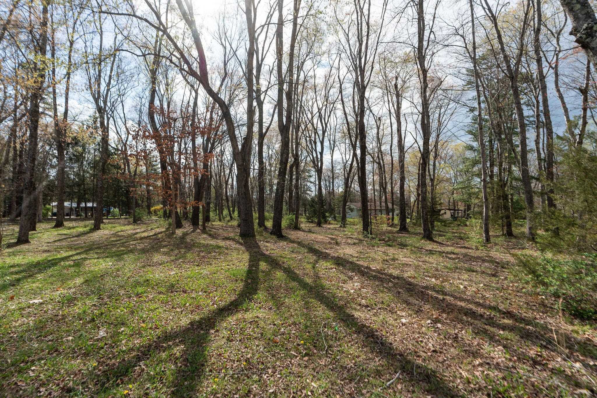 Lot 3 LAKE DR, CRIMORA, Virginia 24431, ,Land,Lot 3 LAKE DR,675327 MLS # 675327