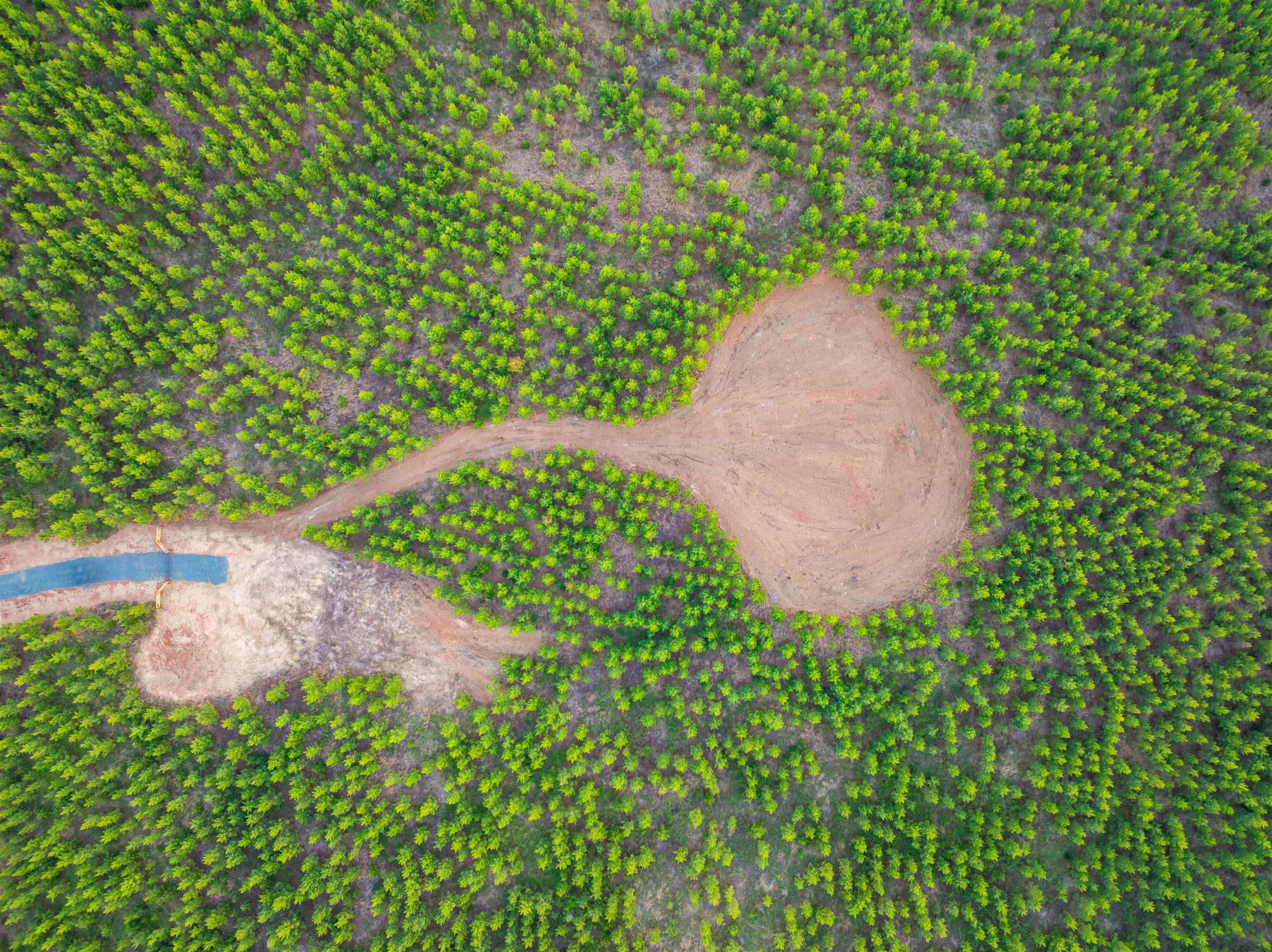 TBD EVERGREEN CHURCH RD, PALMYRA, Virginia 22963, ,Land,TBD EVERGREEN CHURCH RD,675331 MLS # 675331 TBD EVERGREEN CHURCH RD, PALMYRA, Virginia 22963, ,Land,TBD EVERGREEN CHURCH RD,675331 MLS # 675331