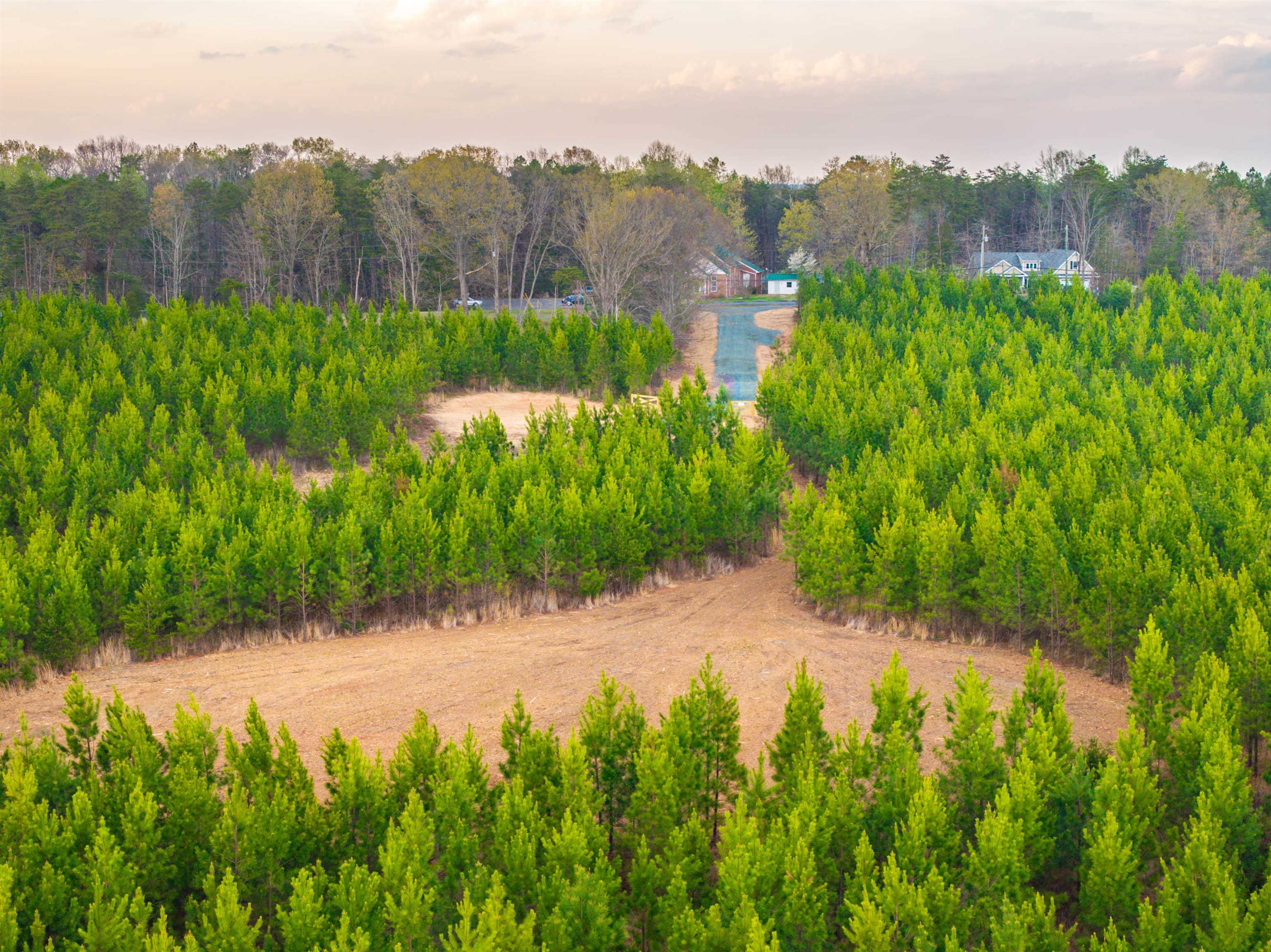 TBD EVERGREEN CHURCH RD, PALMYRA, Virginia 22963, ,Land,TBD EVERGREEN CHURCH RD,675331 MLS # 675331 TBD EVERGREEN CHURCH RD, PALMYRA, Virginia 22963, ,Land,TBD EVERGREEN CHURCH RD,675331 MLS # 675331