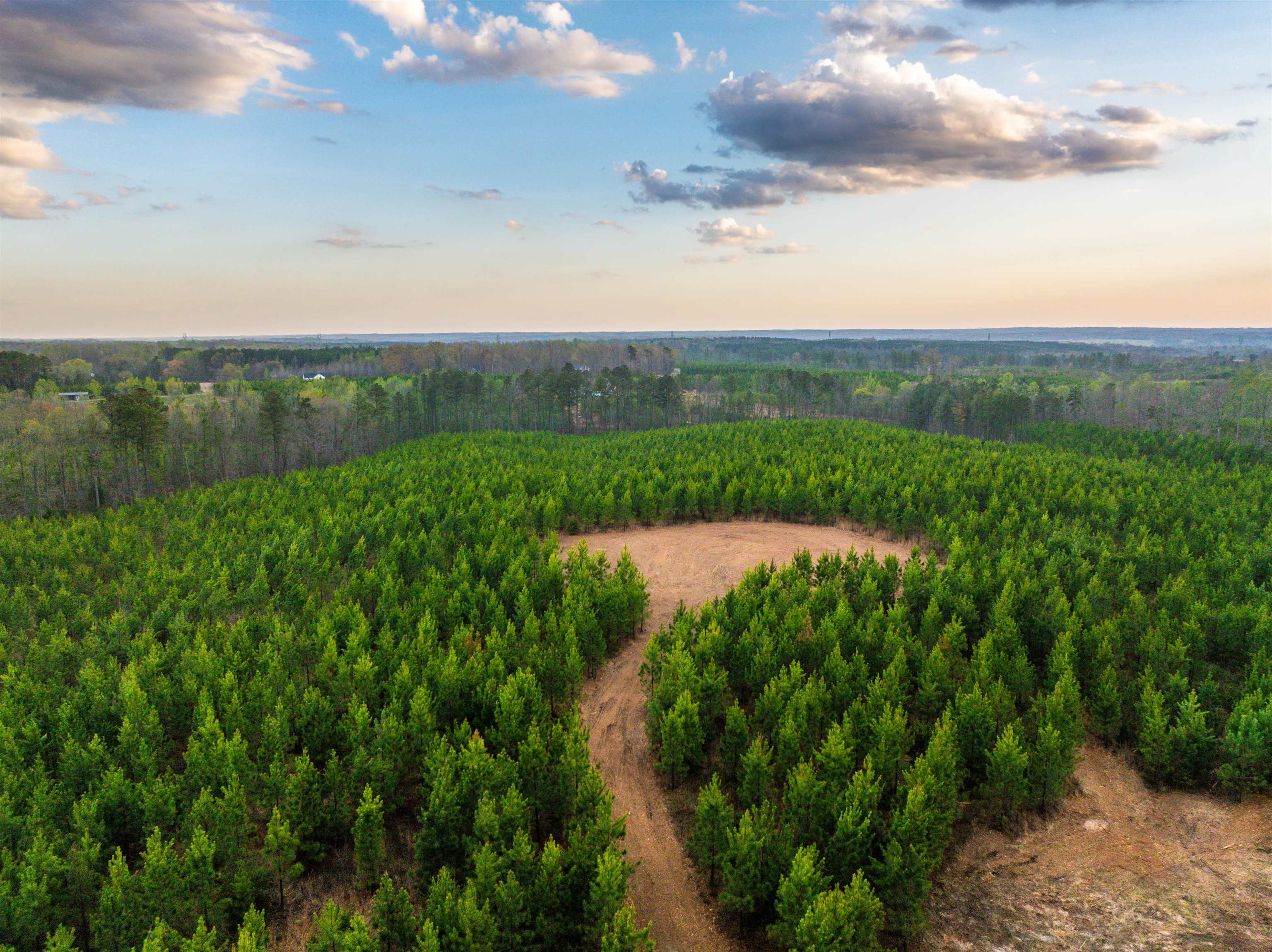 TBD EVERGREEN CHURCH RD, PALMYRA, Virginia 22963, ,Land,TBD EVERGREEN CHURCH RD,675331 MLS # 675331 TBD EVERGREEN CHURCH RD, PALMYRA, Virginia 22963, ,Land,TBD EVERGREEN CHURCH RD,675331 MLS # 675331