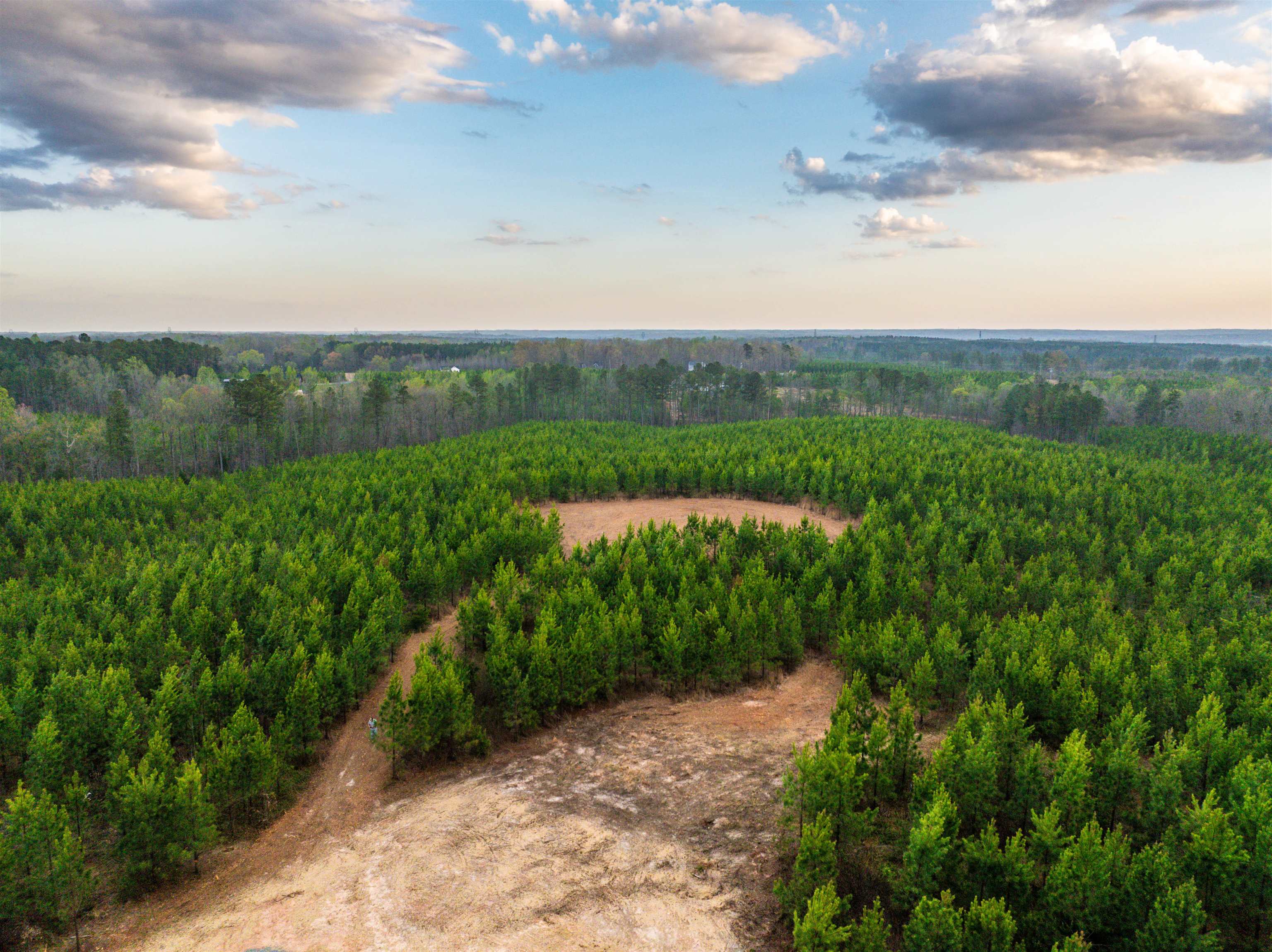 TBD EVERGREEN CHURCH RD, PALMYRA, Virginia 22963, ,Land,TBD EVERGREEN CHURCH RD,675331 MLS # 675331 TBD EVERGREEN CHURCH RD, PALMYRA, Virginia 22963, ,Land,TBD EVERGREEN CHURCH RD,675331 MLS # 675331