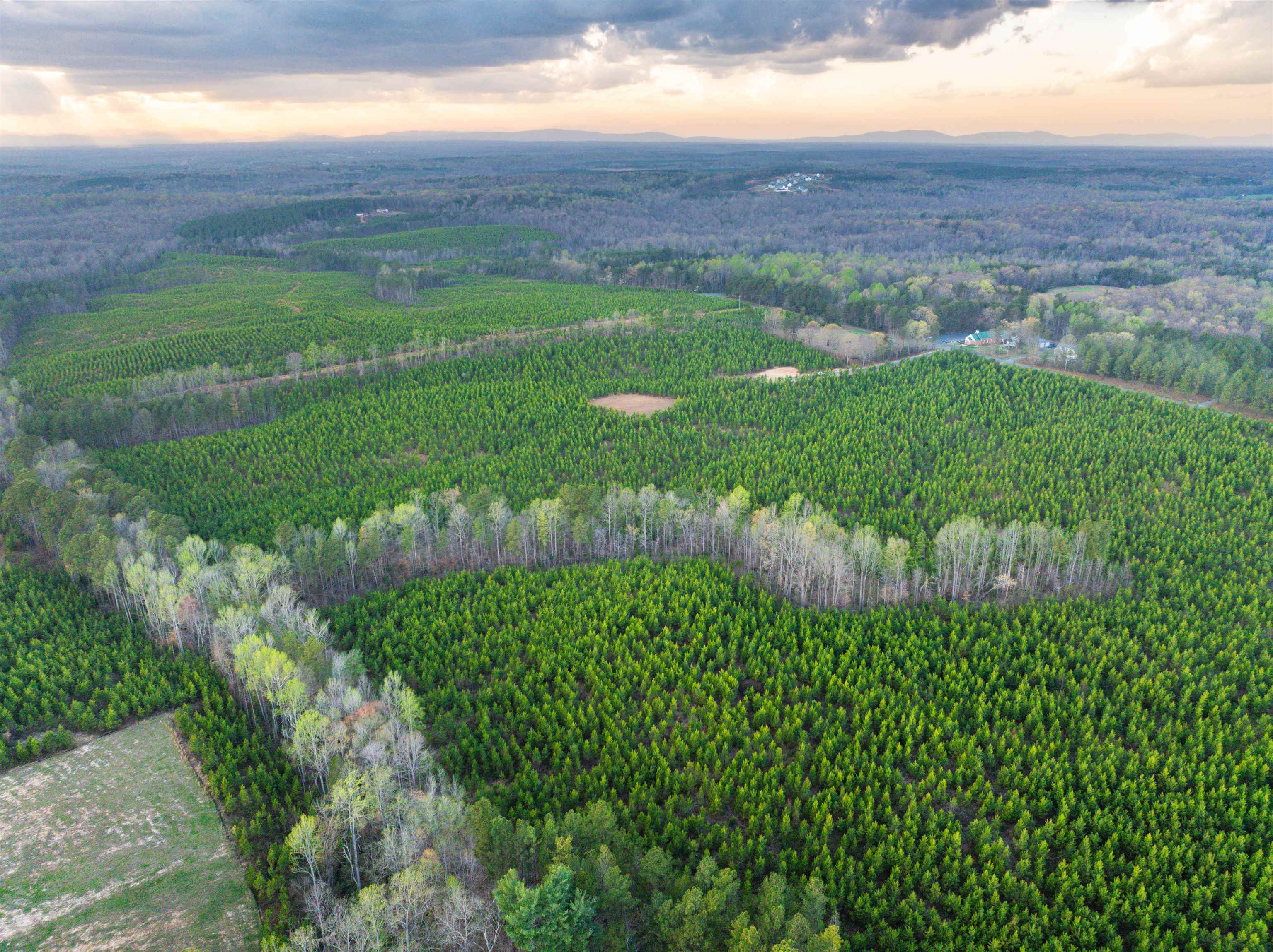 TBD EVERGREEN CHURCH RD, PALMYRA, Virginia 22963, ,Land,TBD EVERGREEN CHURCH RD,675331 MLS # 675331 TBD EVERGREEN CHURCH RD, PALMYRA, Virginia 22963, ,Land,TBD EVERGREEN CHURCH RD,675331 MLS # 675331