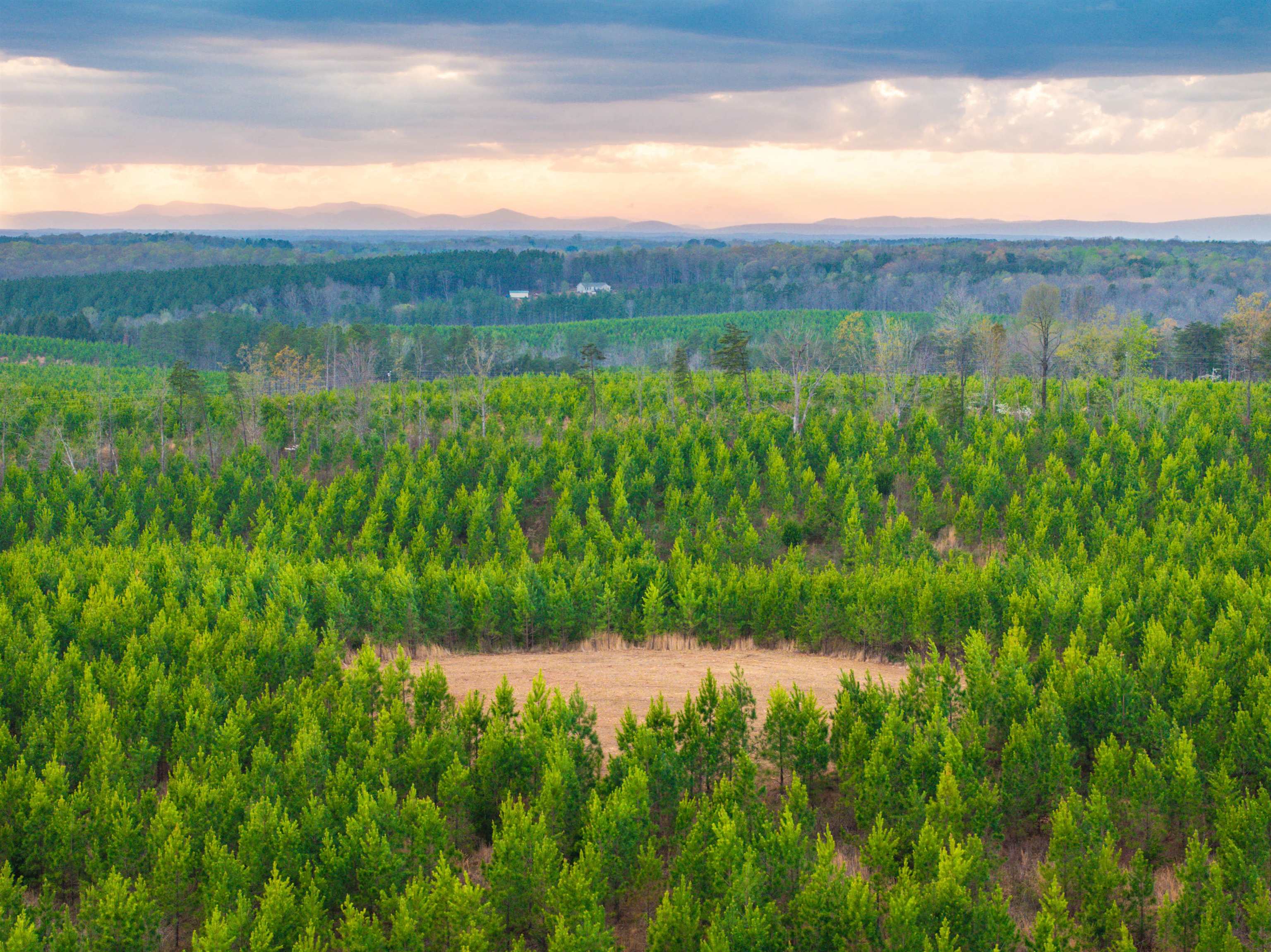 TBD EVERGREEN CHURCH RD, PALMYRA, Virginia 22963, ,Land,TBD EVERGREEN CHURCH RD,675331 MLS # 675331 TBD EVERGREEN CHURCH RD, PALMYRA, Virginia 22963, ,Land,TBD EVERGREEN CHURCH RD,675331 MLS # 675331