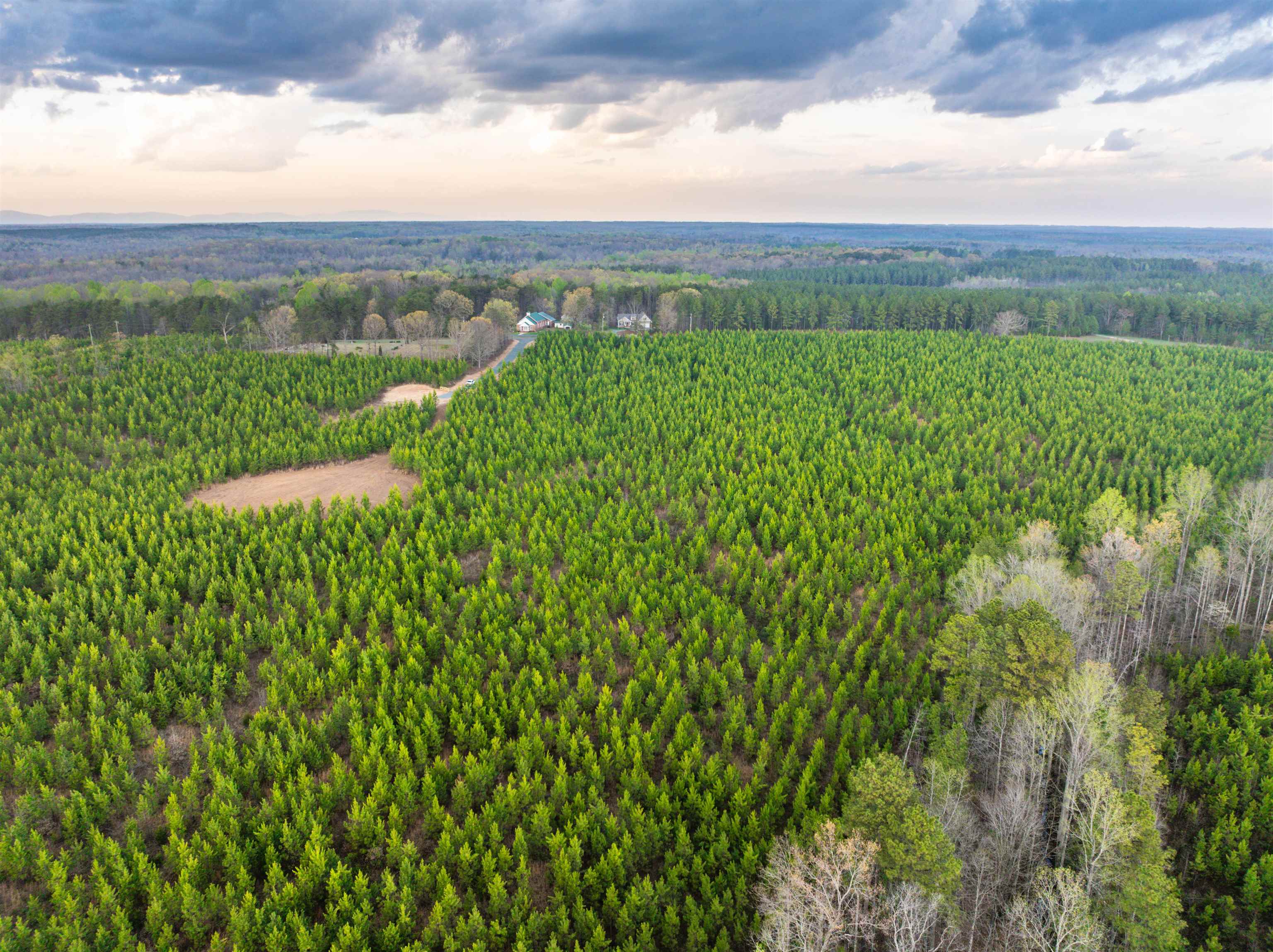 TBD EVERGREEN CHURCH RD, PALMYRA, Virginia 22963, ,Land,TBD EVERGREEN CHURCH RD,675331 MLS # 675331 TBD EVERGREEN CHURCH RD, PALMYRA, Virginia 22963, ,Land,TBD EVERGREEN CHURCH RD,675331 MLS # 675331