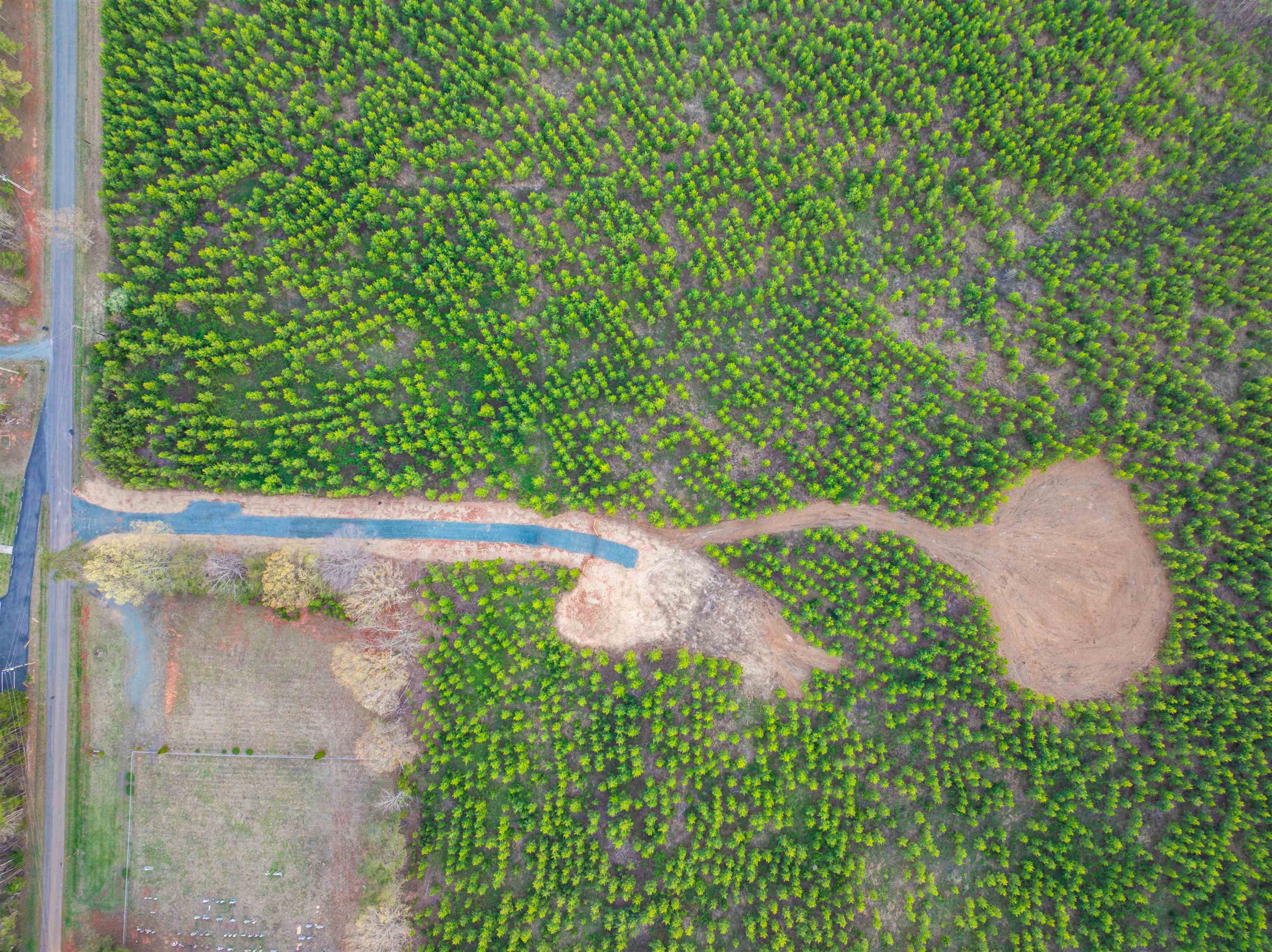 TBD EVERGREEN CHURCH RD, PALMYRA, Virginia 22963, ,Land,TBD EVERGREEN CHURCH RD,675331 MLS # 675331 TBD EVERGREEN CHURCH RD, PALMYRA, Virginia 22963, ,Land,TBD EVERGREEN CHURCH RD,675331 MLS # 675331