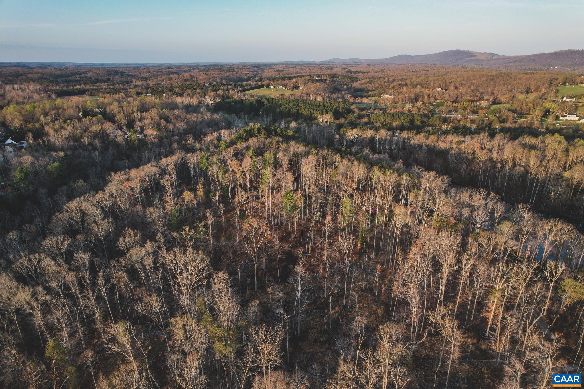 42 SHADWELL RD, KESWICK, Virginia 22947, ,Land,42 Acres in Keswick on Private Lake,42 SHADWELL RD,675338 MLS # 675338