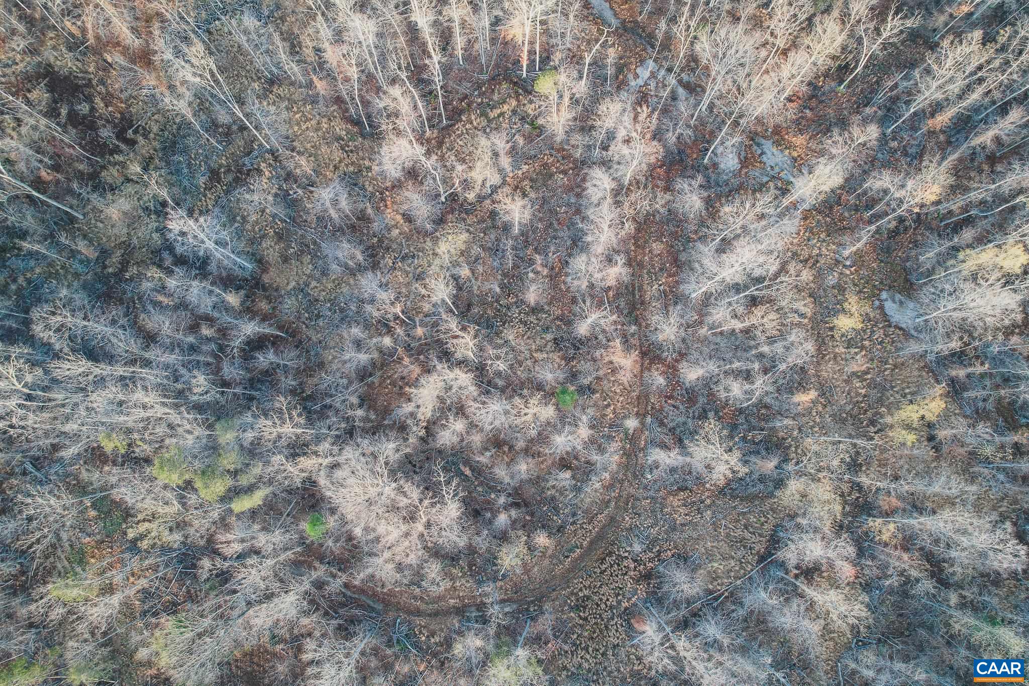 42 SHADWELL RD, KESWICK, Virginia 22947, ,Land,42 Acres in Keswick on Private Lake,42 SHADWELL RD,675338 MLS # 675338