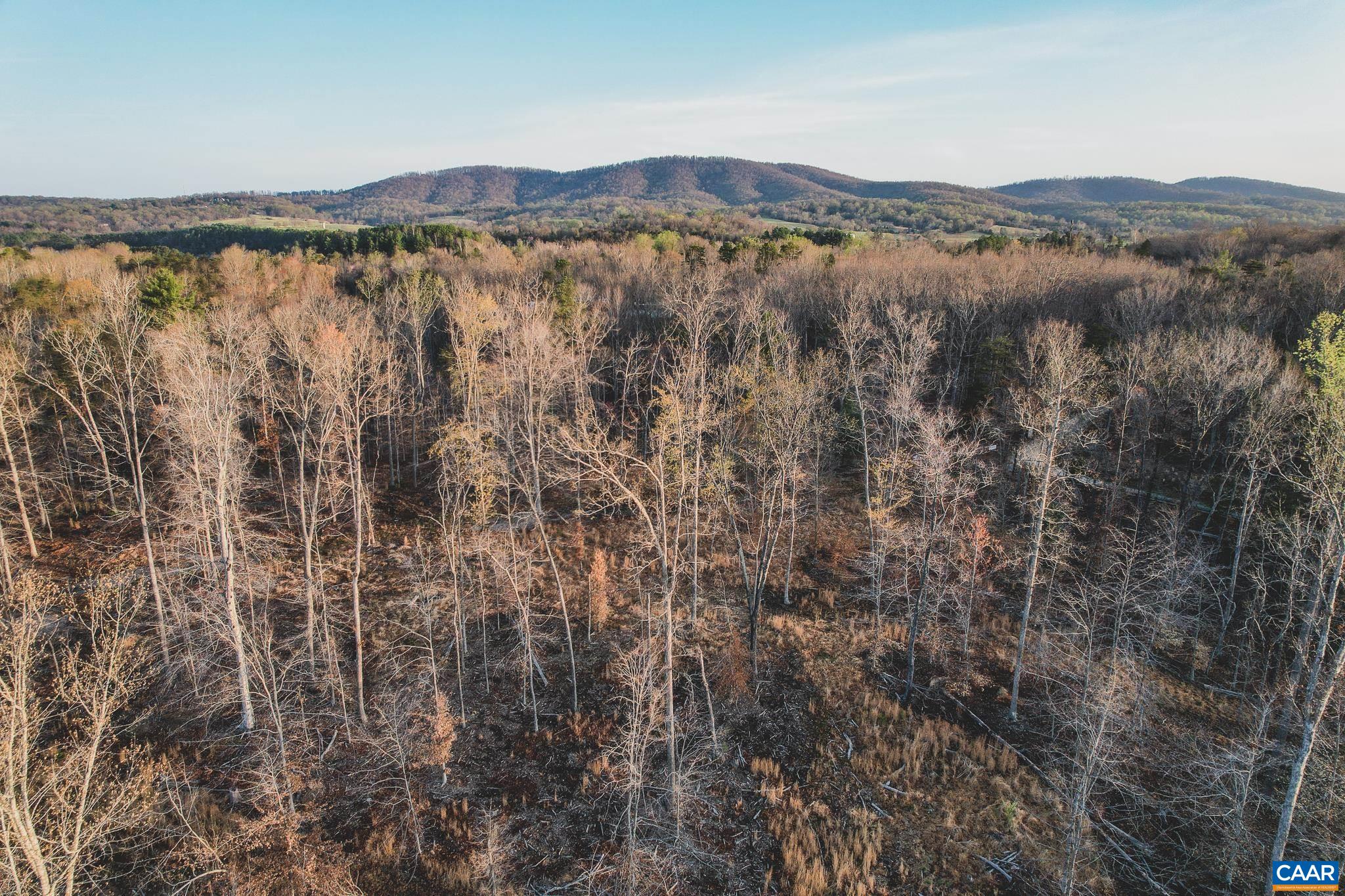 42 SHADWELL RD, KESWICK, Virginia 22947, ,Land,42 Acres in Keswick on Private Lake,42 SHADWELL RD,675338 MLS # 675338