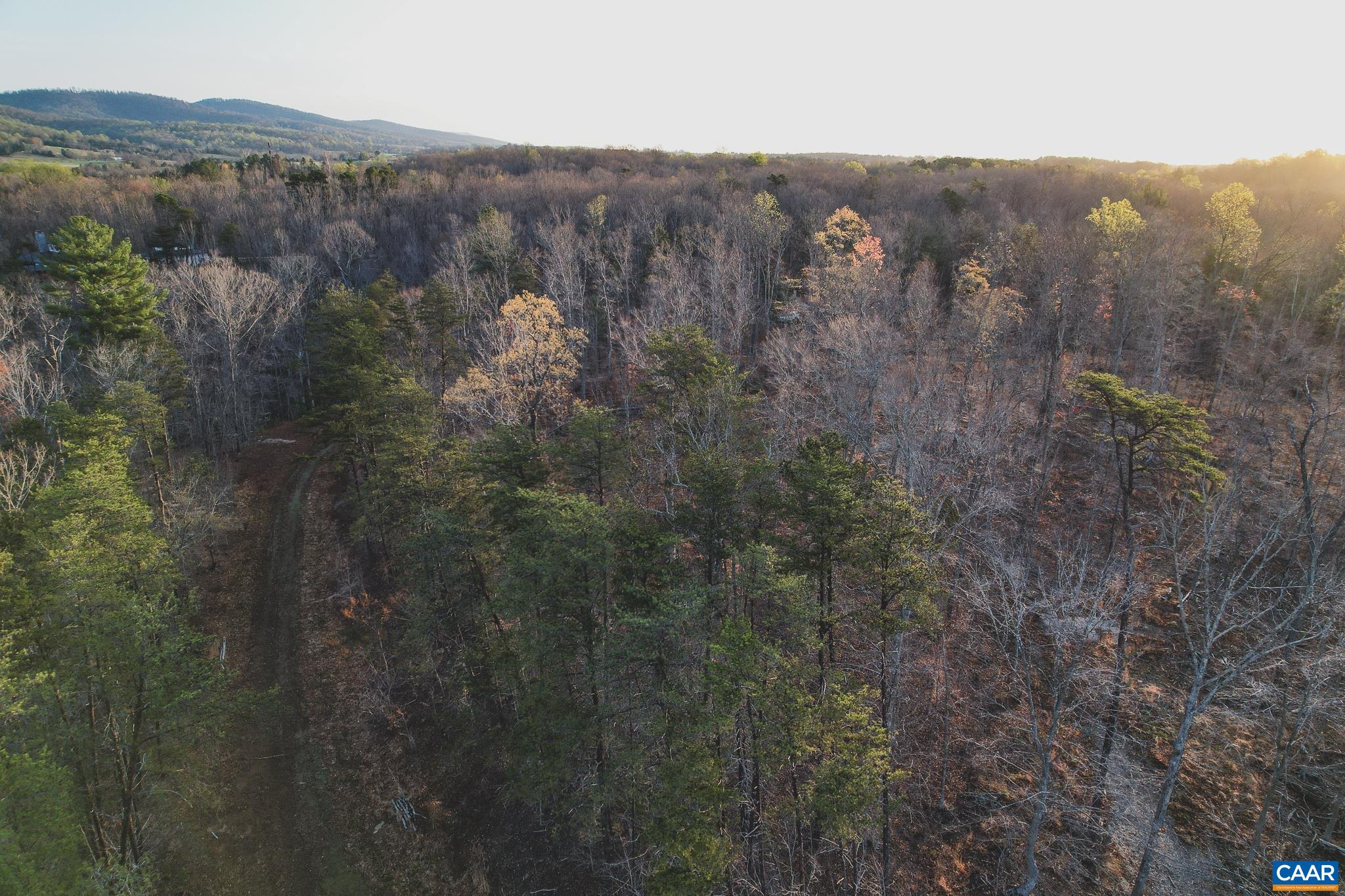 42 SHADWELL RD, KESWICK, Virginia 22947, ,Land,42 Acres in Keswick on Private Lake,42 SHADWELL RD,675338 MLS # 675338