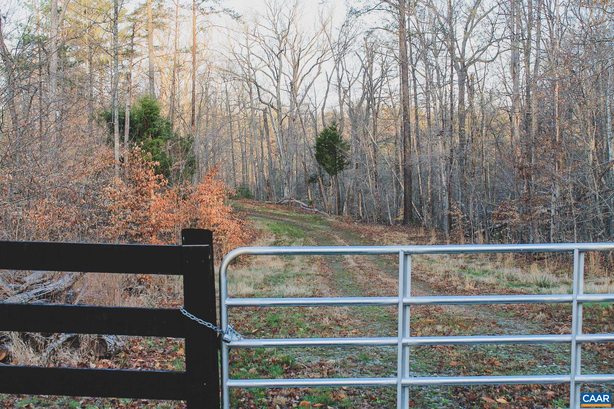 42 SHADWELL RD, KESWICK, Virginia 22947, ,Land,42 Acres in Keswick on Private Lake,42 SHADWELL RD,675338 MLS # 675338