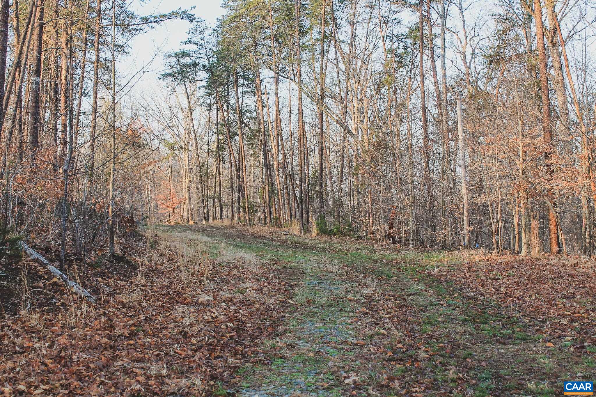 42 SHADWELL RD, KESWICK, Virginia 22947, ,Land,42 Acres in Keswick on Private Lake,42 SHADWELL RD,675338 MLS # 675338