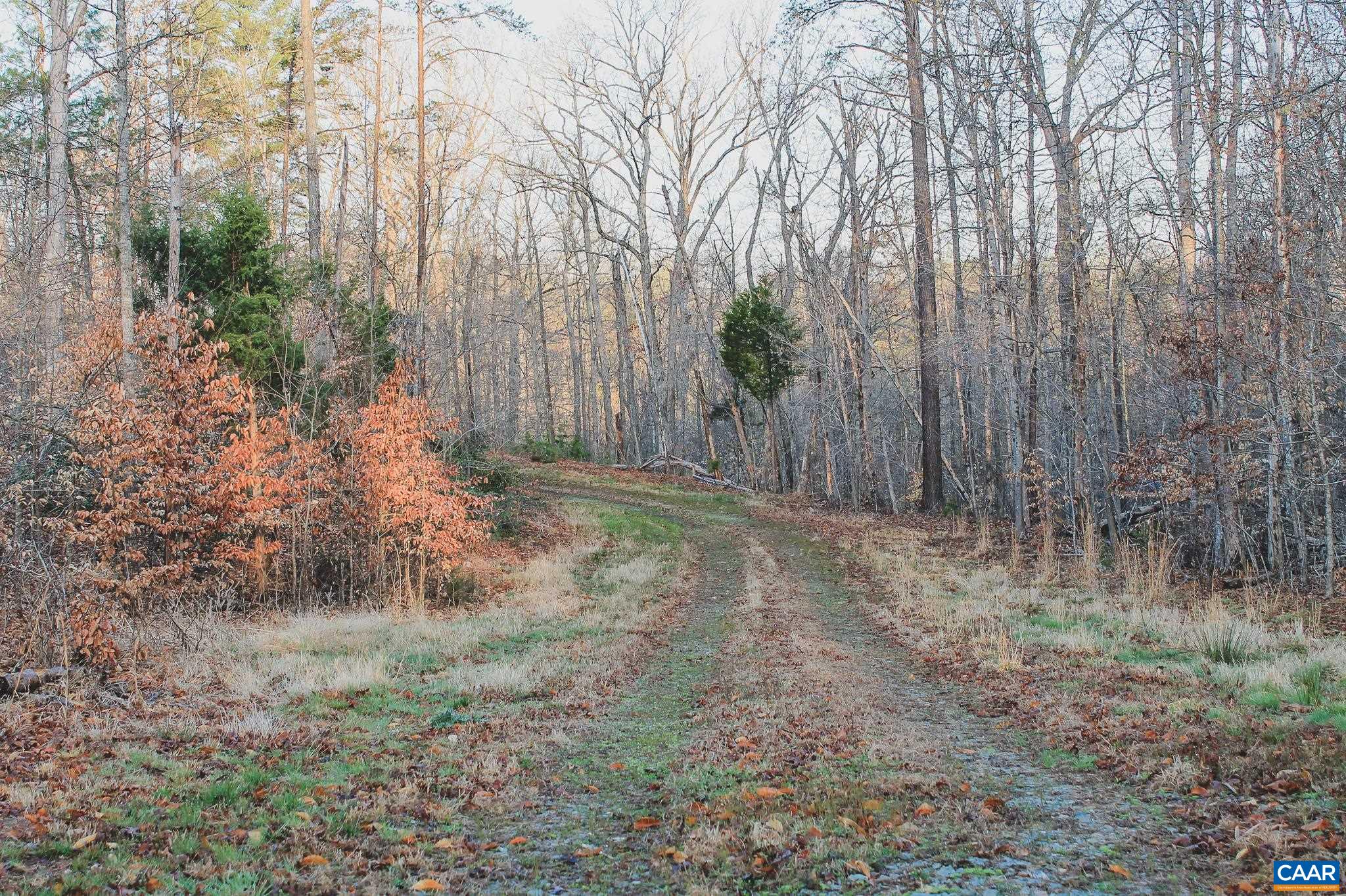 42 SHADWELL RD, KESWICK, Virginia 22947, ,Land,42 Acres in Keswick on Private Lake,42 SHADWELL RD,675338 MLS # 675338