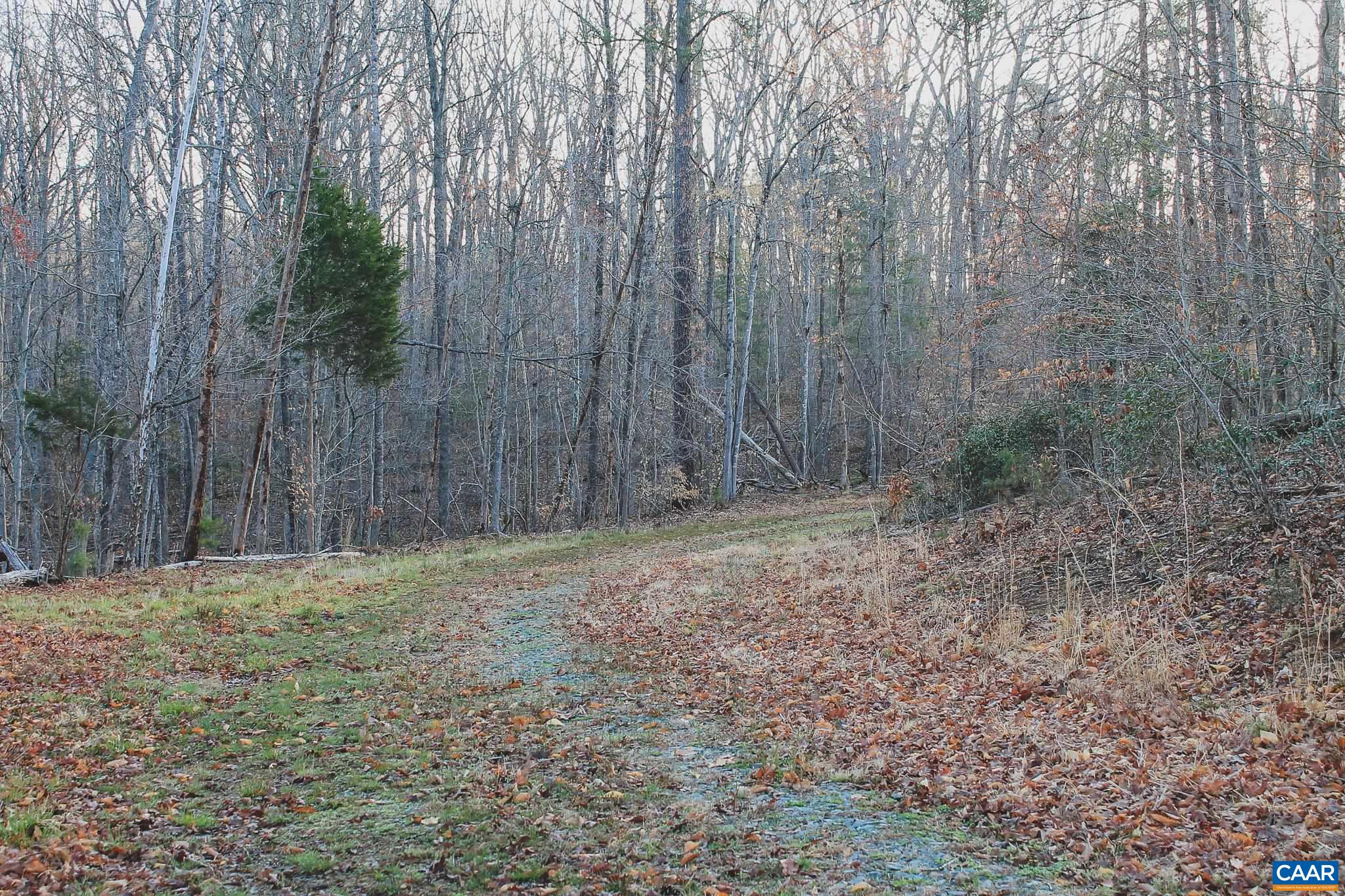 42 SHADWELL RD, KESWICK, Virginia 22947, ,Land,42 Acres in Keswick on Private Lake,42 SHADWELL RD,675338 MLS # 675338