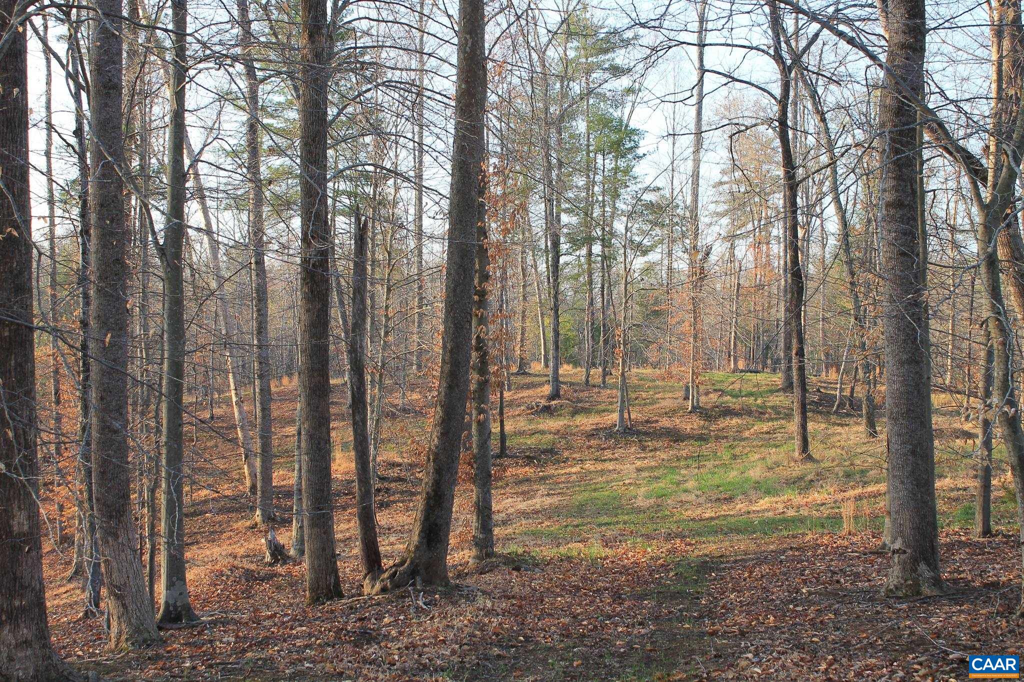 42 SHADWELL RD, KESWICK, Virginia 22947, ,Land,42 Acres in Keswick on Private Lake,42 SHADWELL RD,675338 MLS # 675338