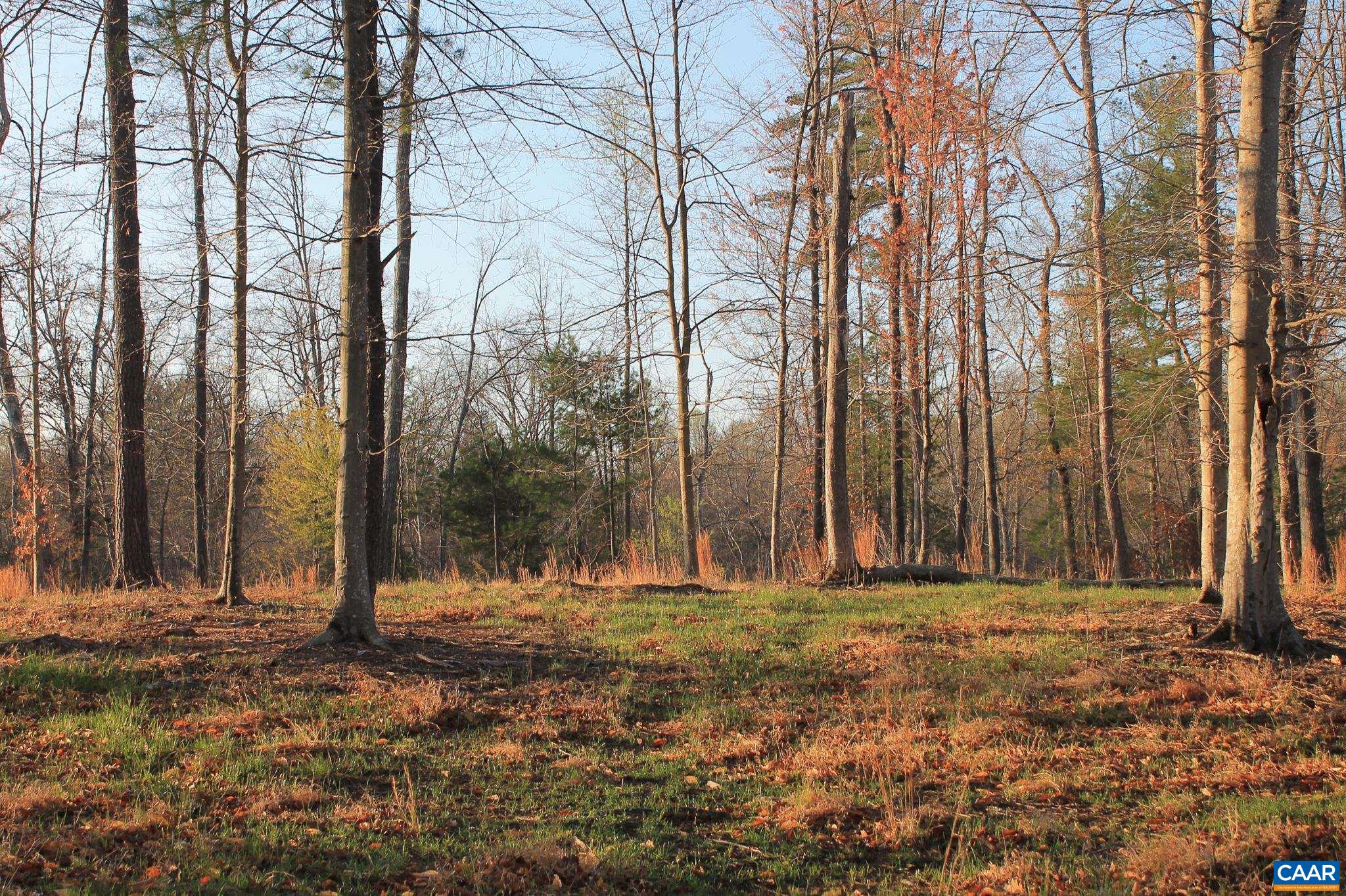 42 SHADWELL RD, KESWICK, Virginia 22947, ,Land,42 Acres in Keswick on Private Lake,42 SHADWELL RD,675338 MLS # 675338