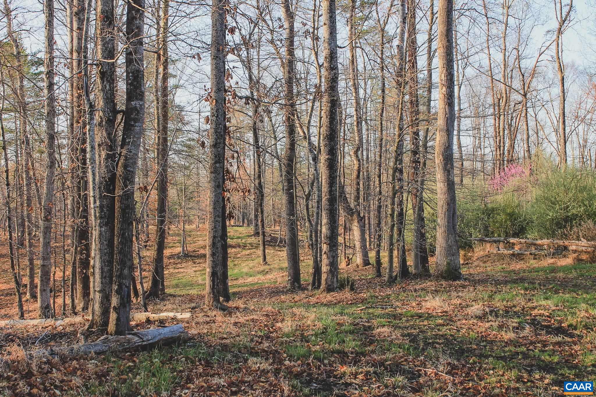 42 SHADWELL RD, KESWICK, Virginia 22947, ,Land,42 Acres in Keswick on Private Lake,42 SHADWELL RD,675338 MLS # 675338