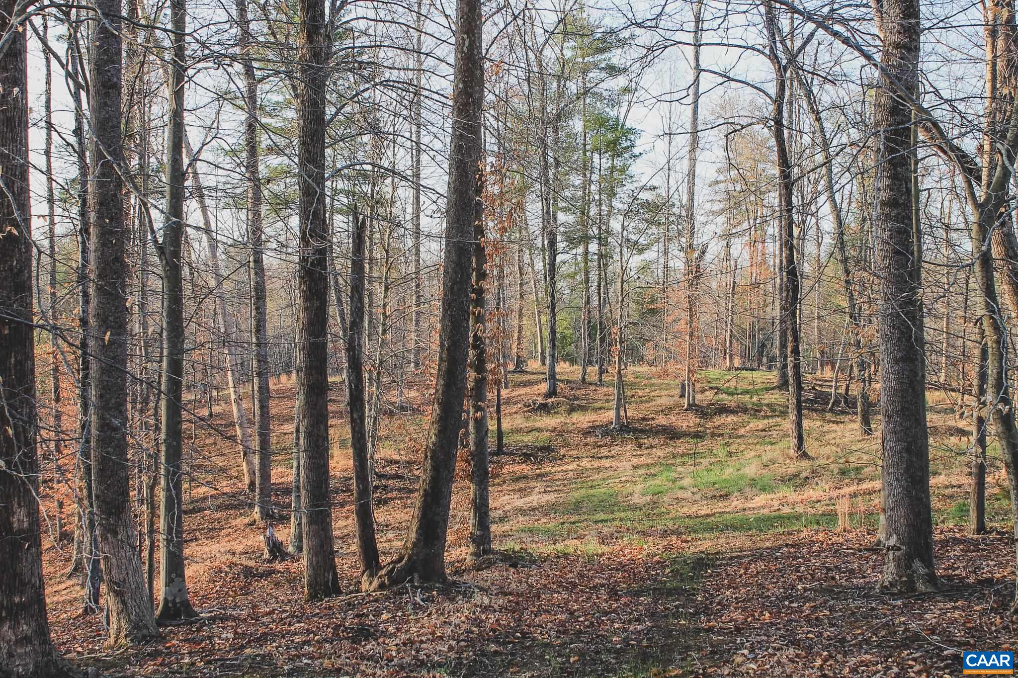 42 SHADWELL RD, KESWICK, Virginia 22947, ,Land,42 Acres in Keswick on Private Lake,42 SHADWELL RD,675338 MLS # 675338